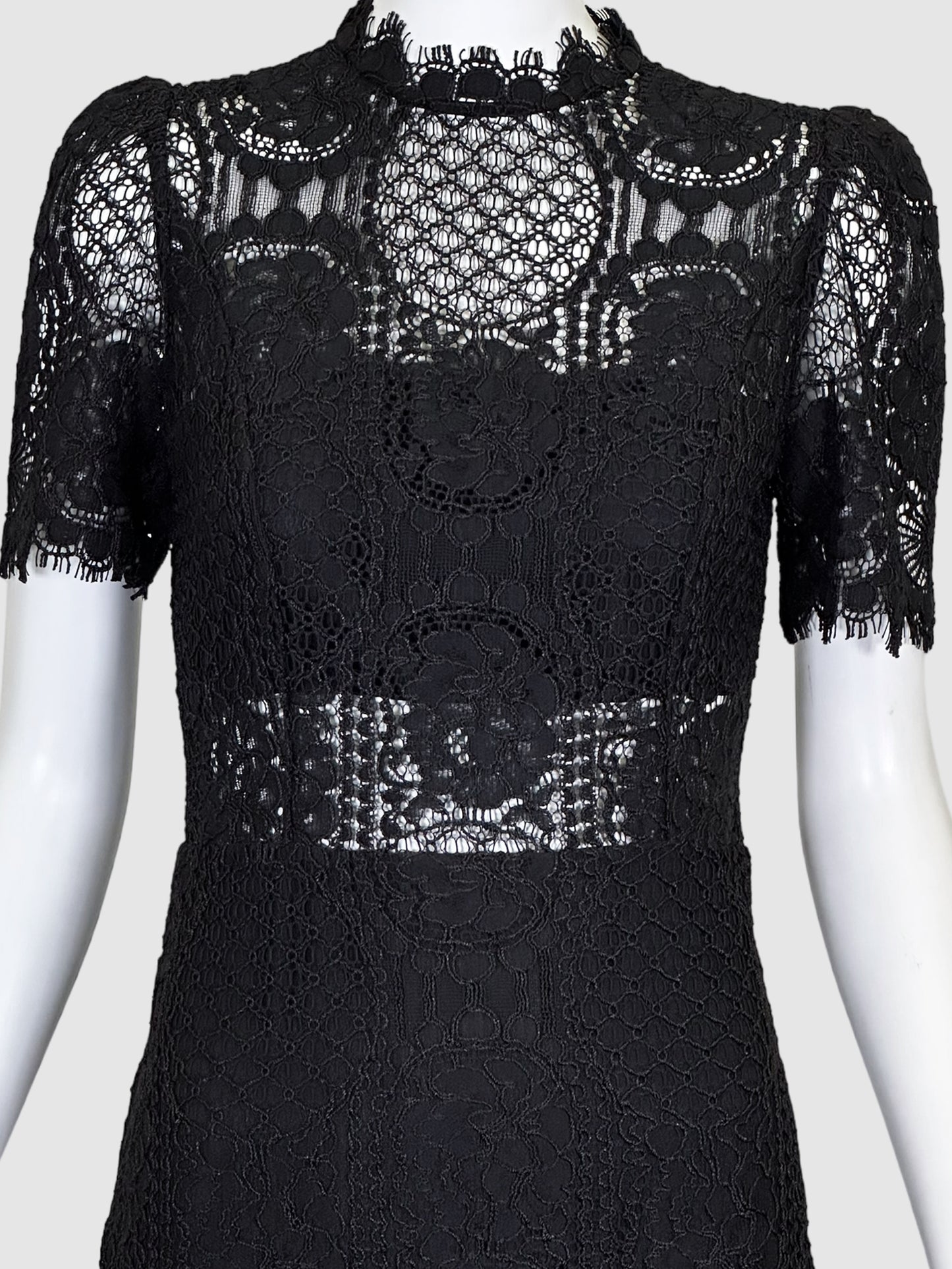 Alexis Lace Shift Dress - Size M