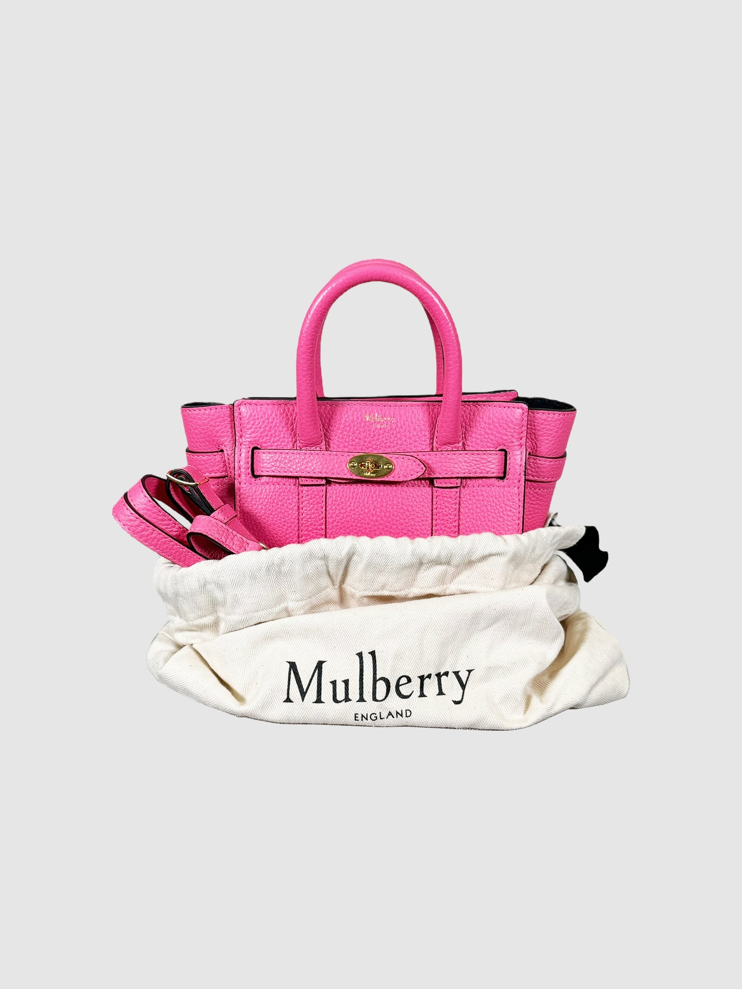 Mini Zipped Bayswater Tote
