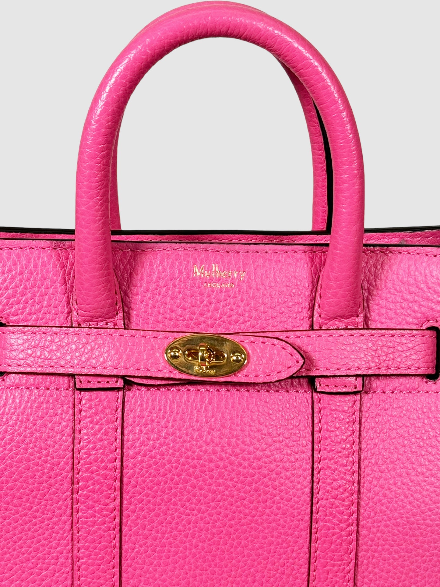 Mini Zipped Bayswater Tote
