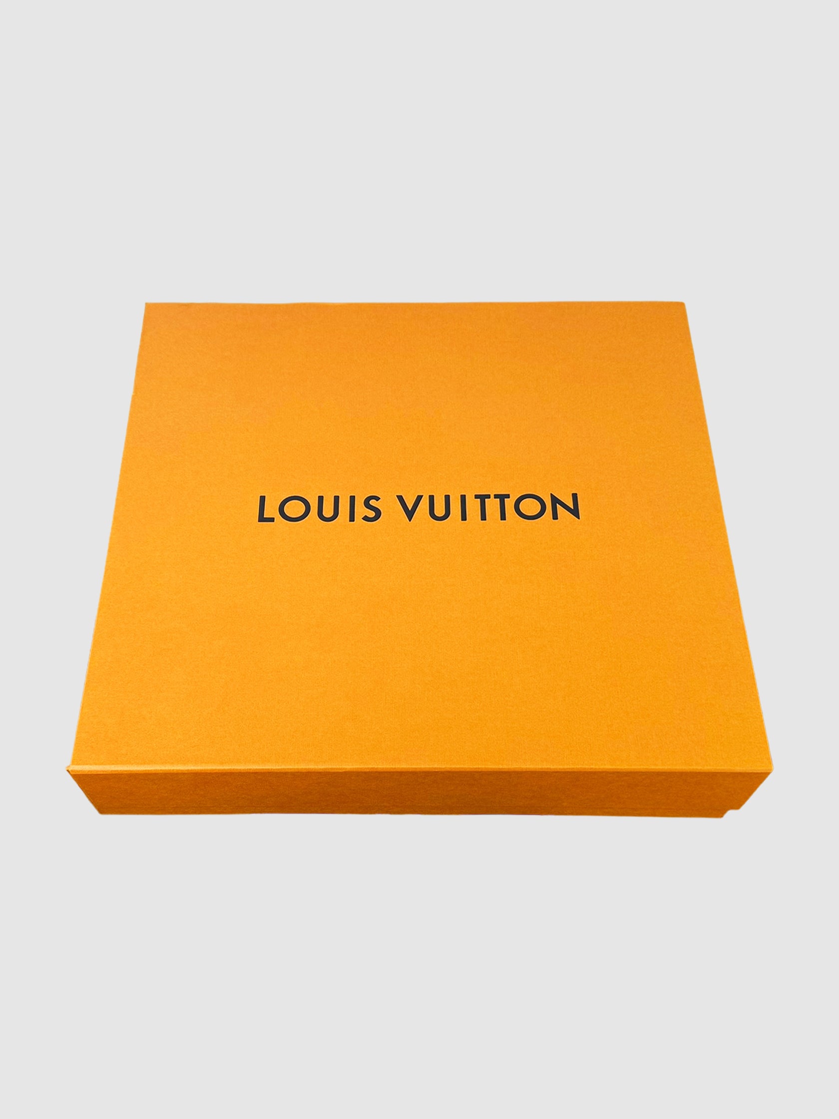 "Les Sacs De Ville Louis Vuitton" Book