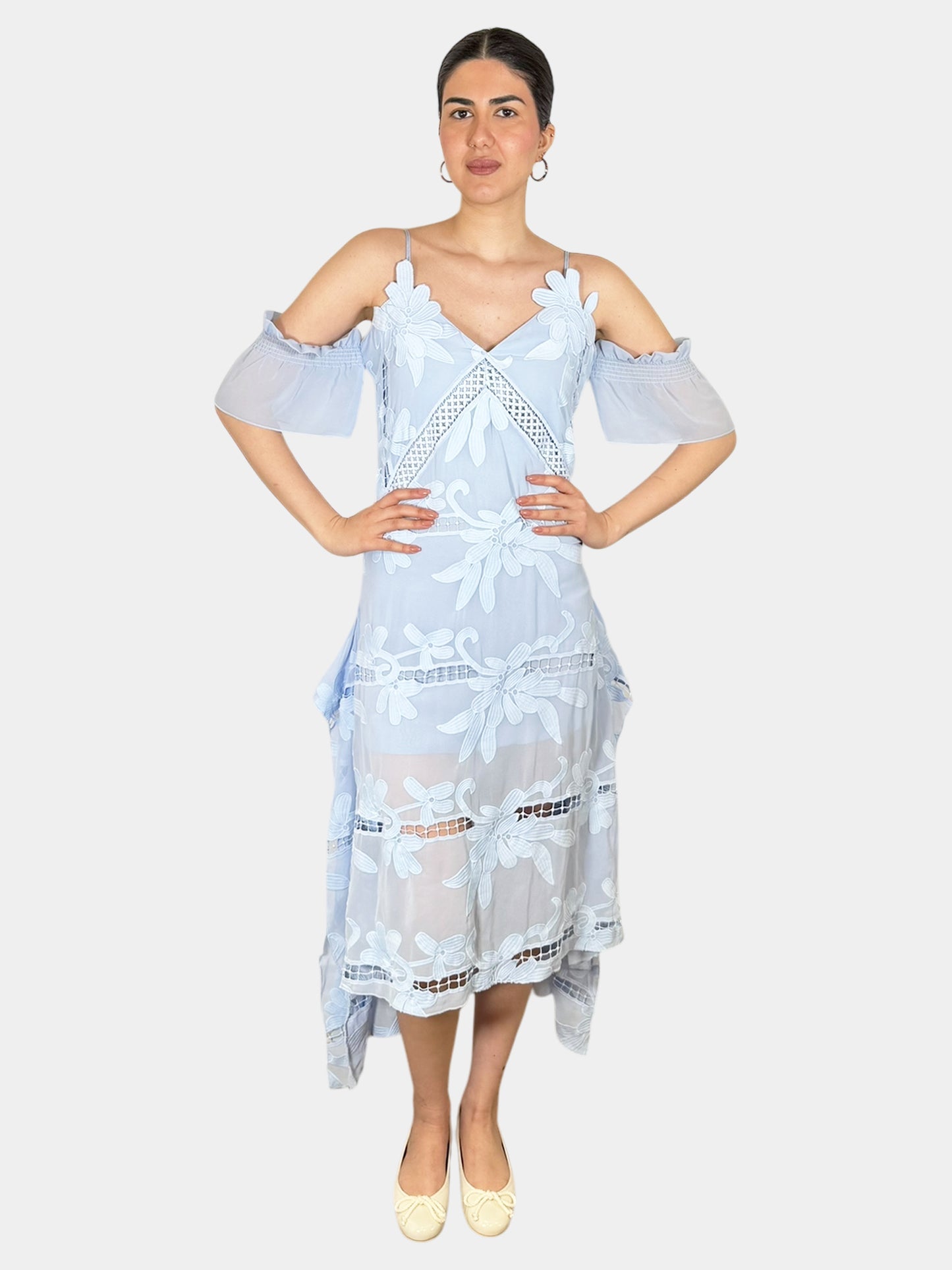 Embroidered Georgette Midi Dress - Size 6