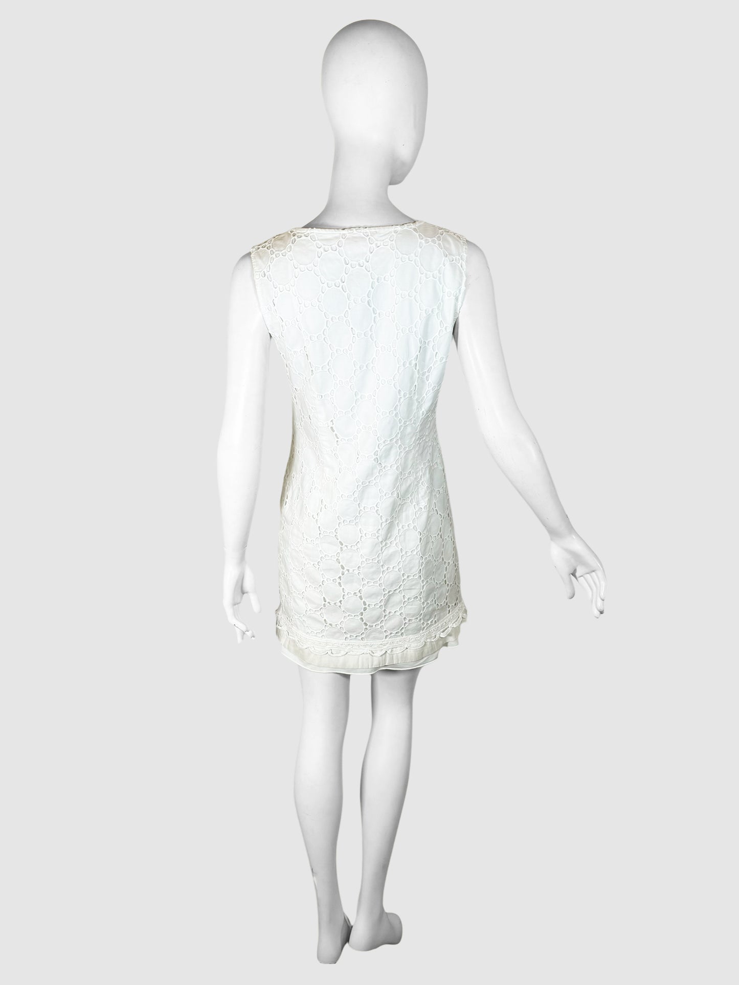 Lace Embroidery Mini Dress - Size M