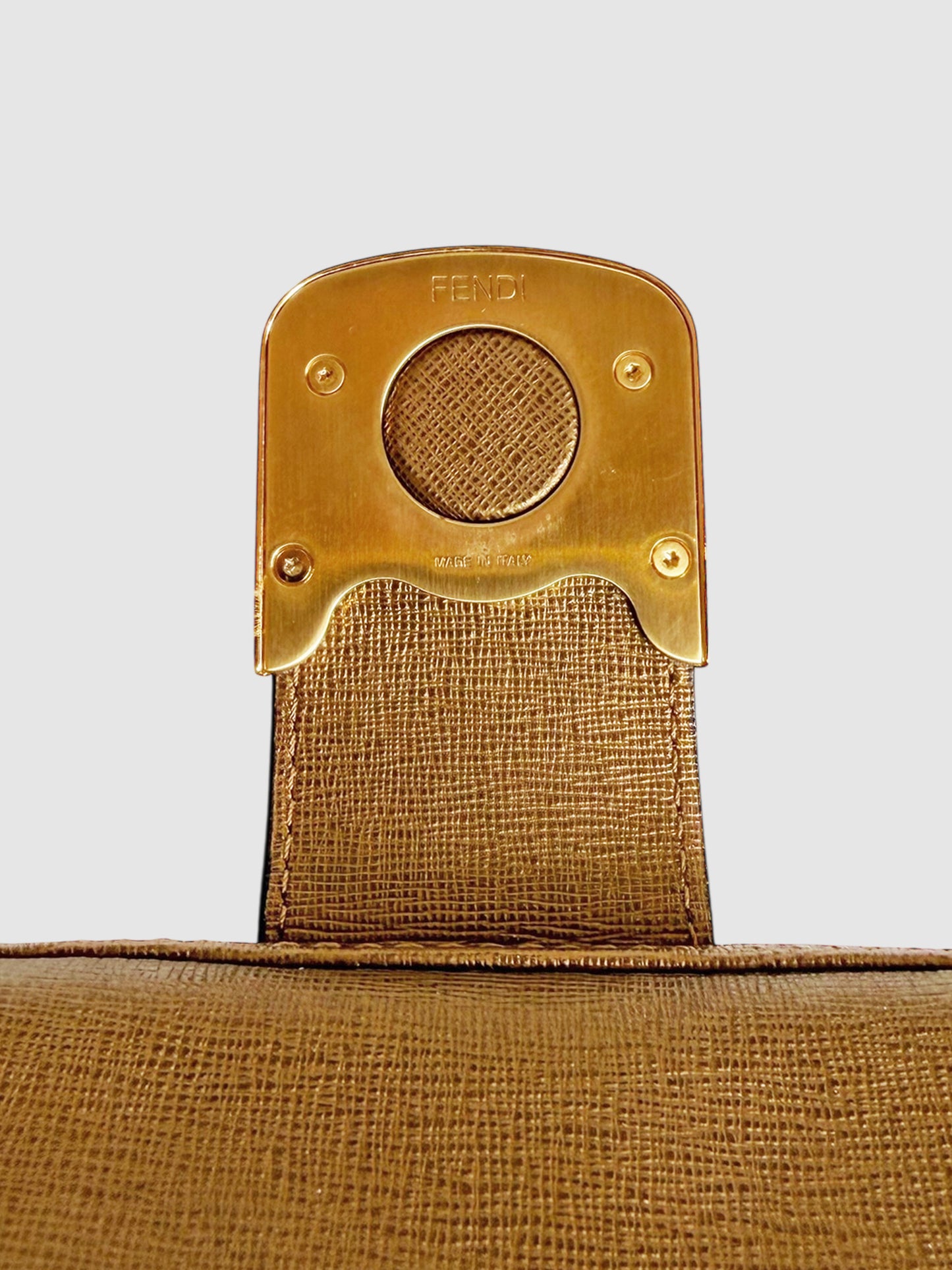 Small Chameleon Bag