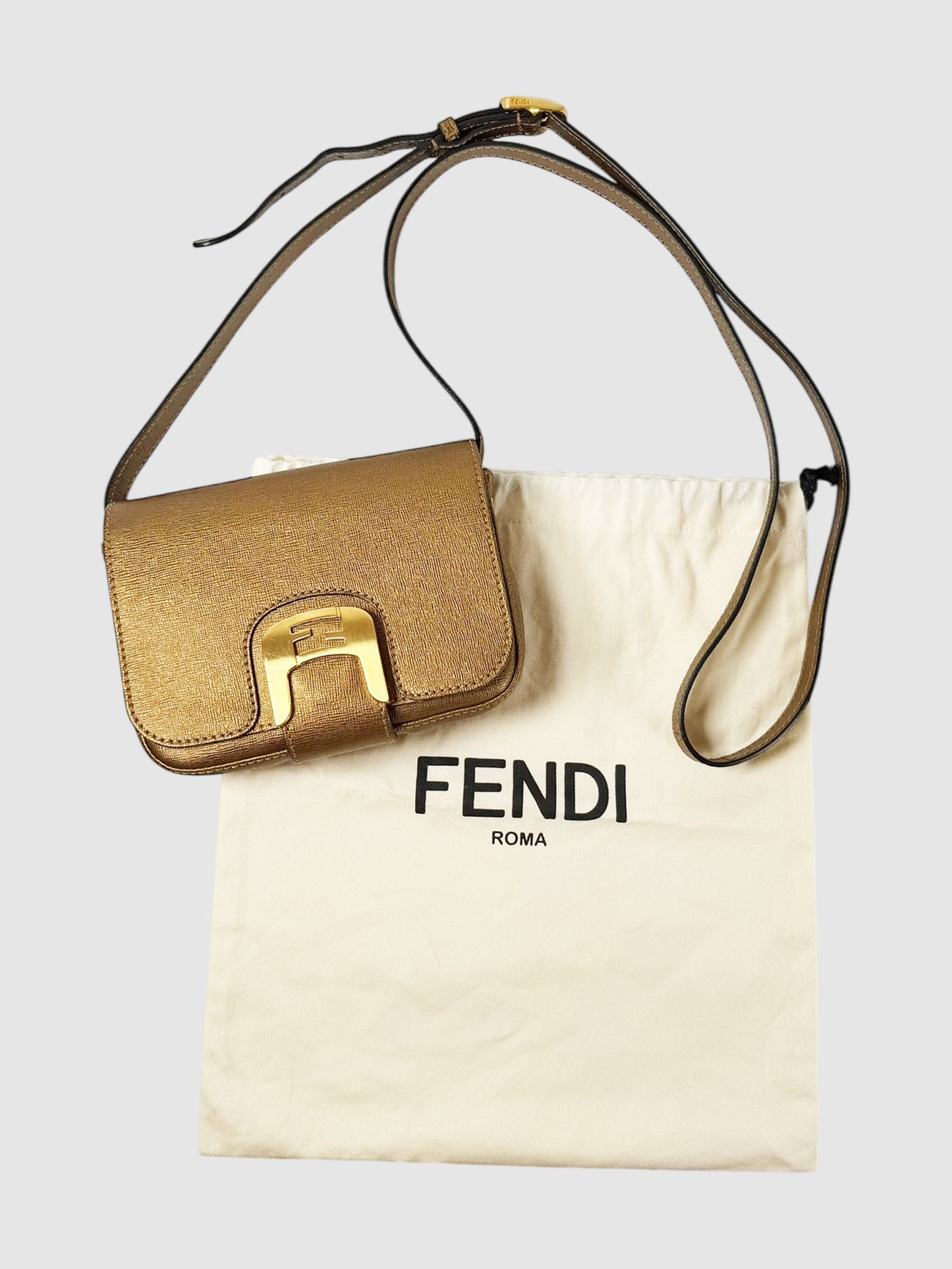 Small Chameleon Bag