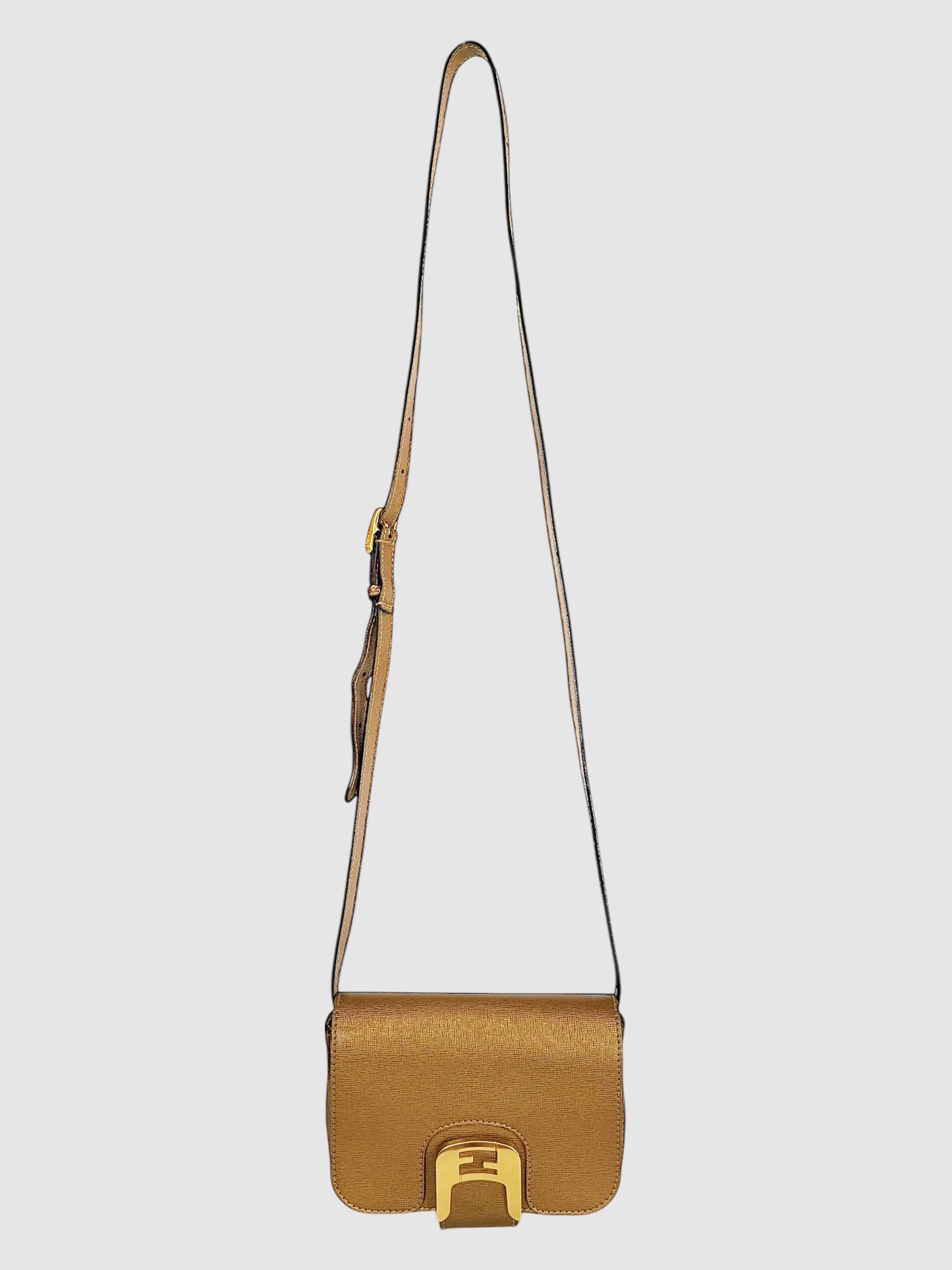 Small Chameleon Bag