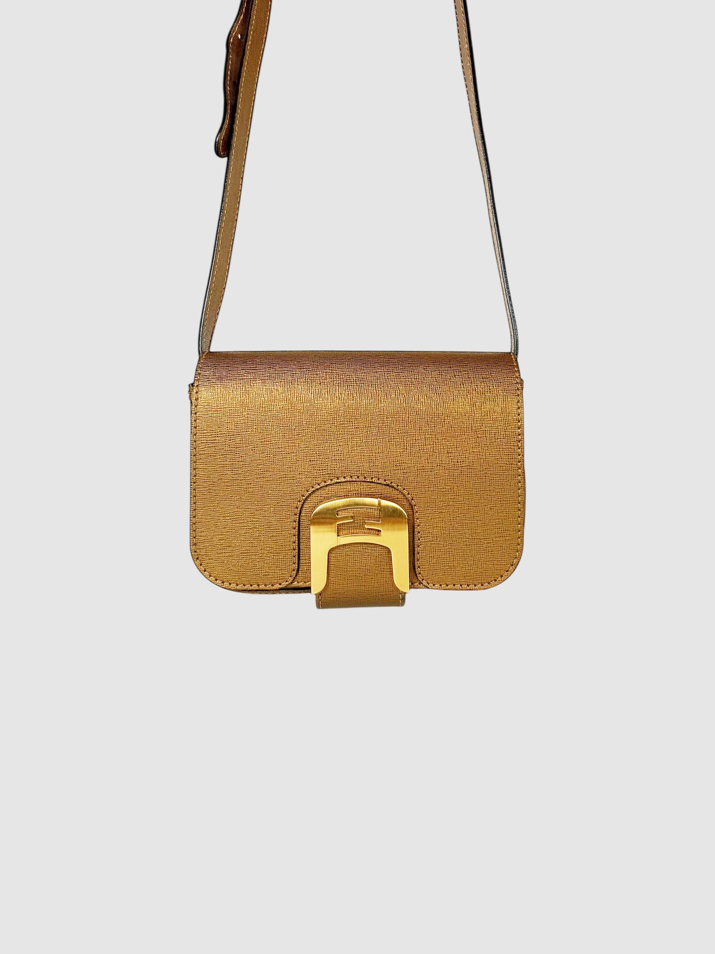 Small Chameleon Bag