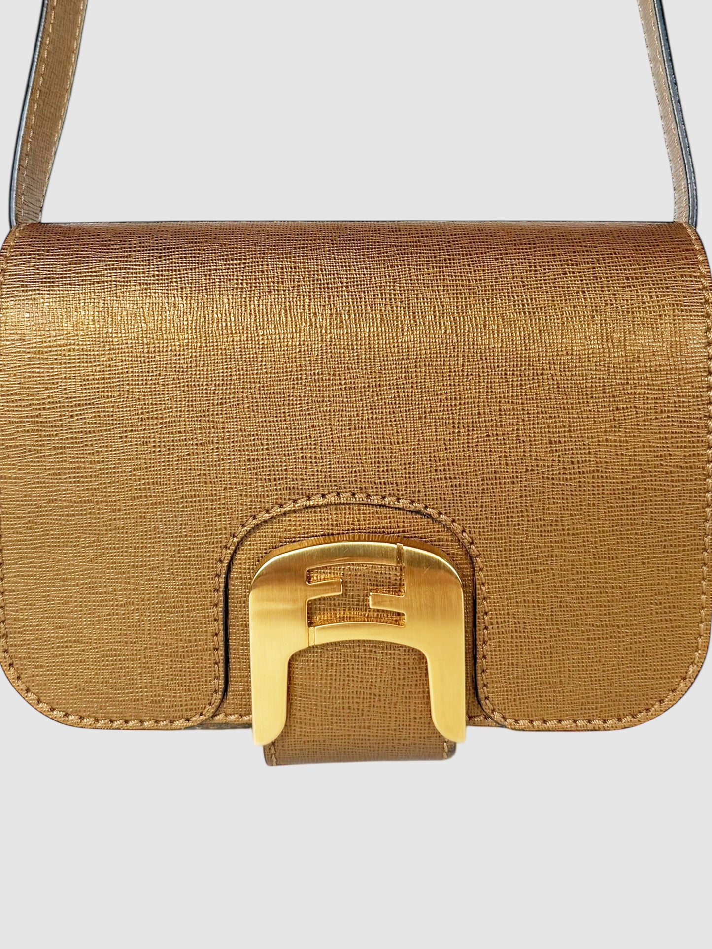 Small Chameleon Bag