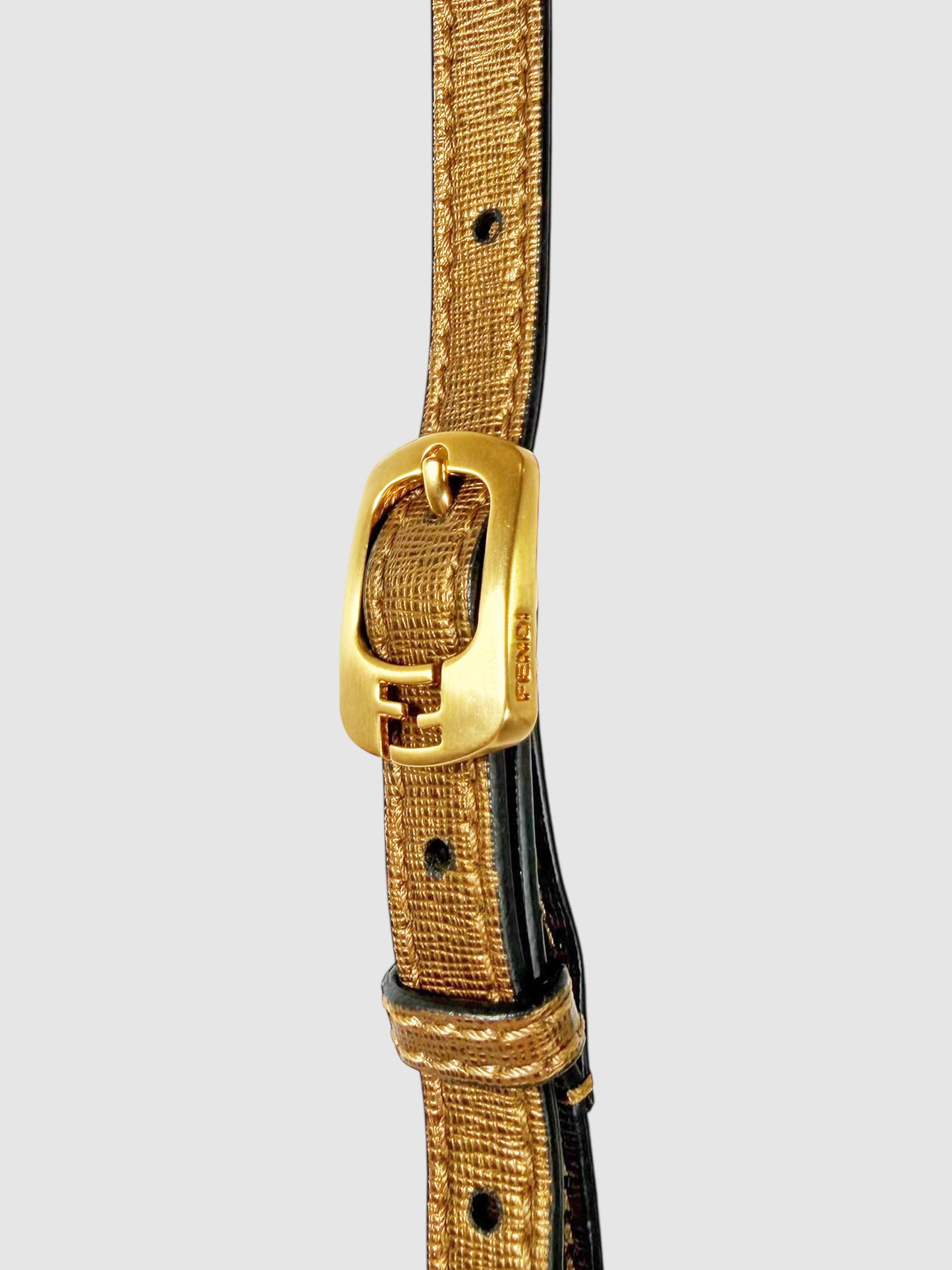 Small Chameleon Bag