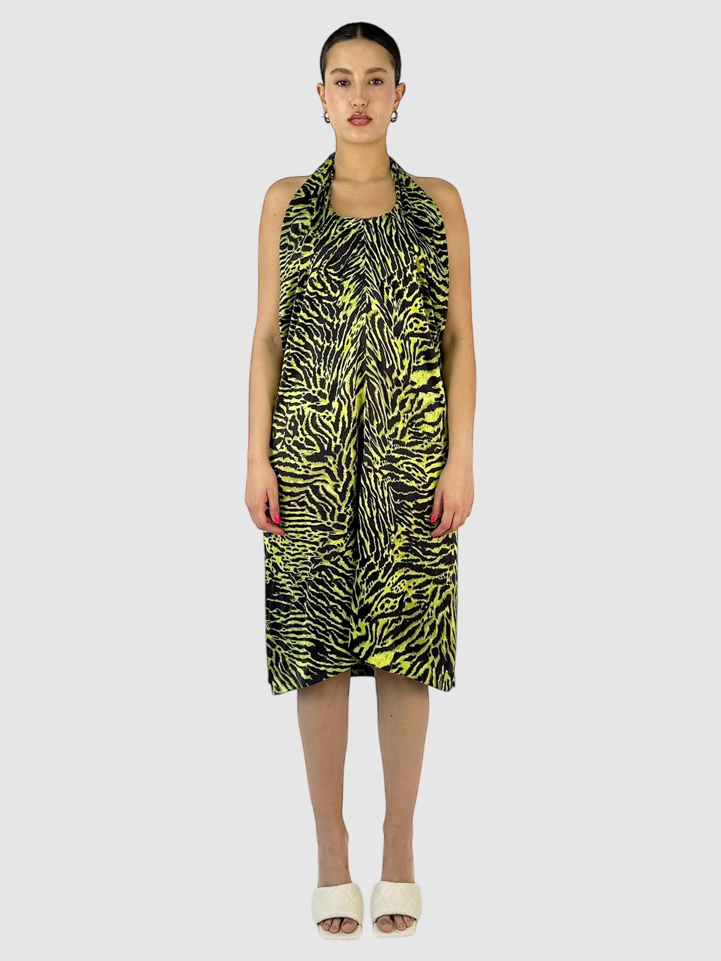 Tiger Print Dress