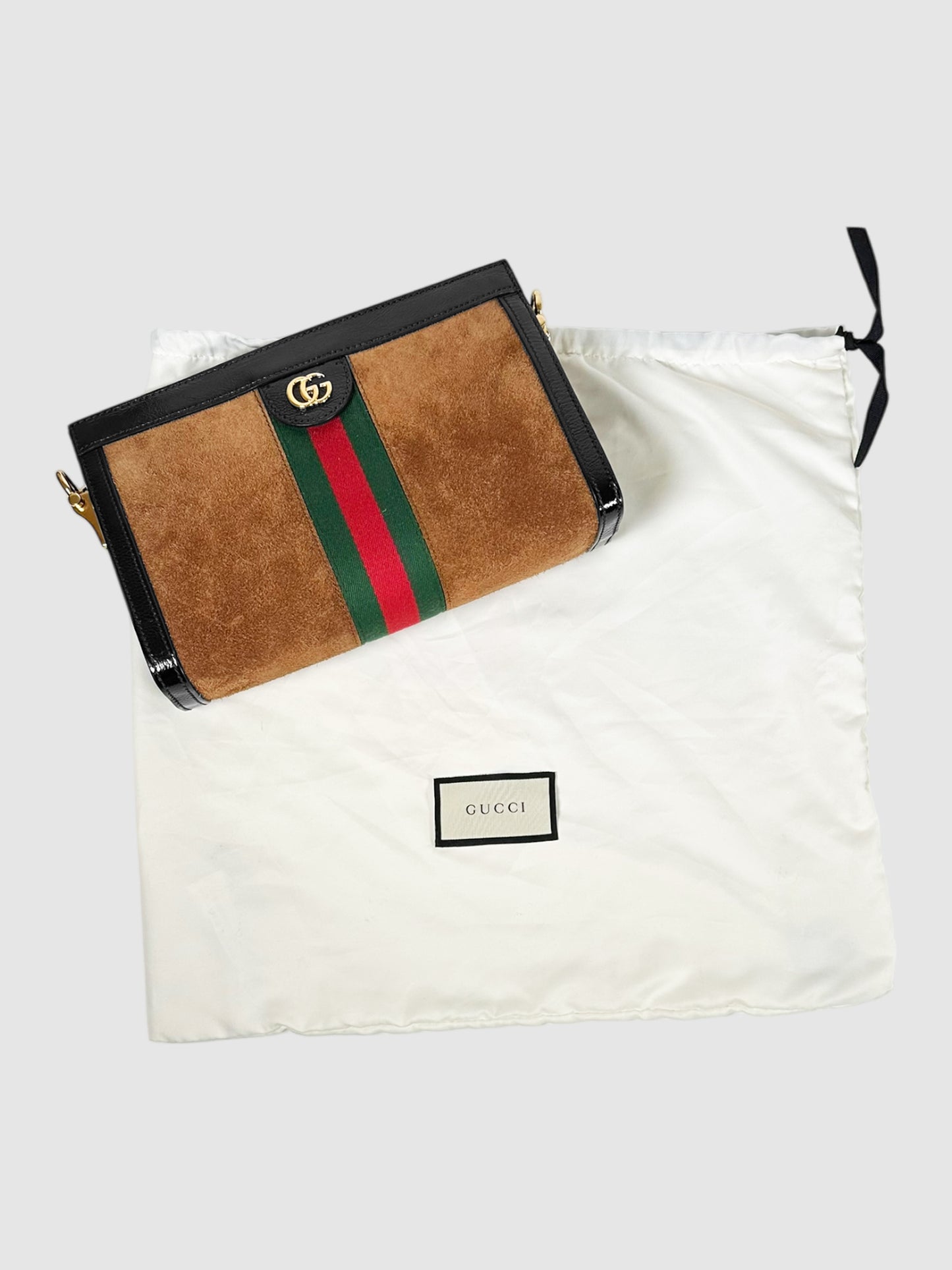 GG Ophidia Bag
