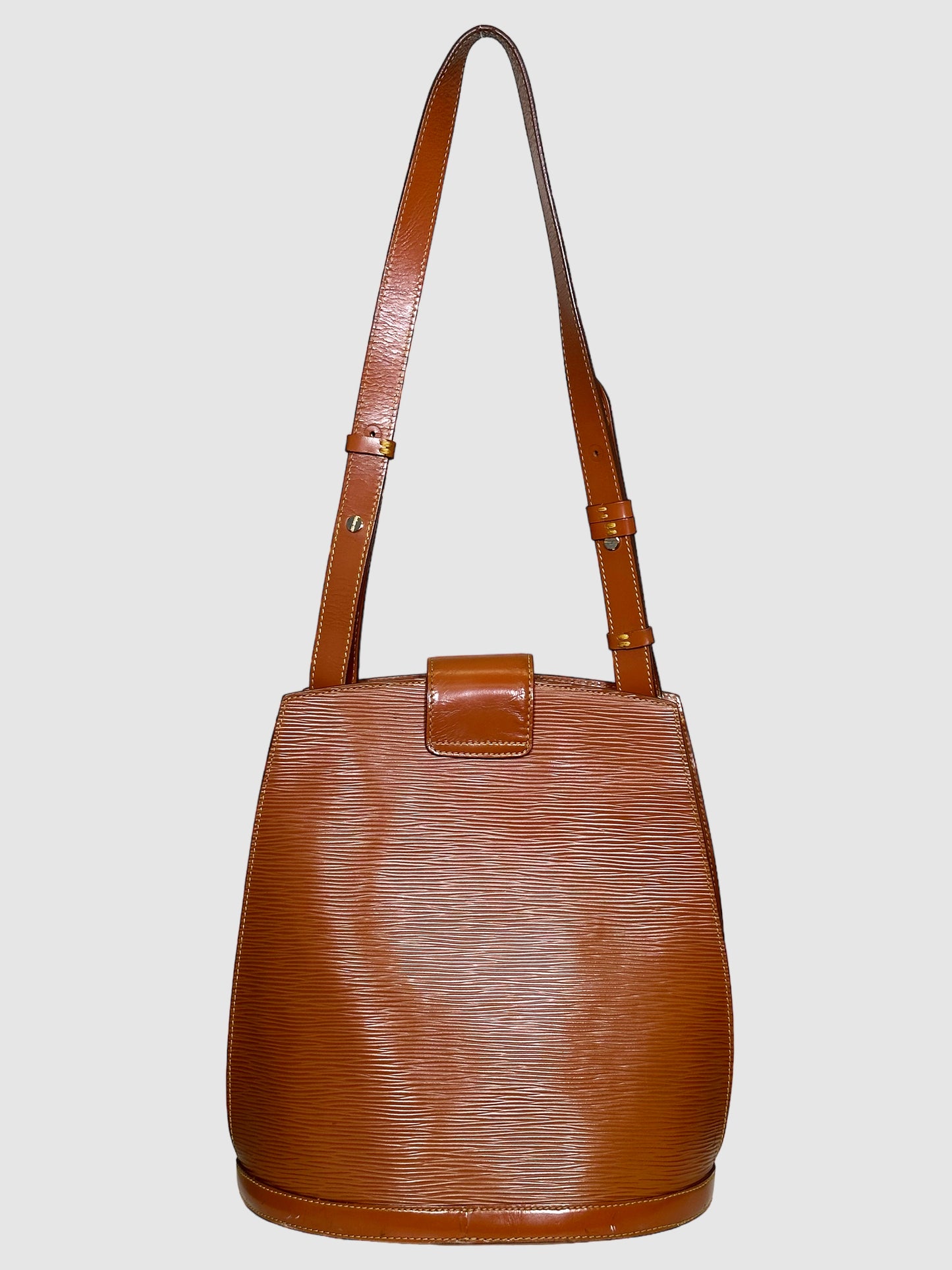 Louis Vuitton Epi Cluny Bag