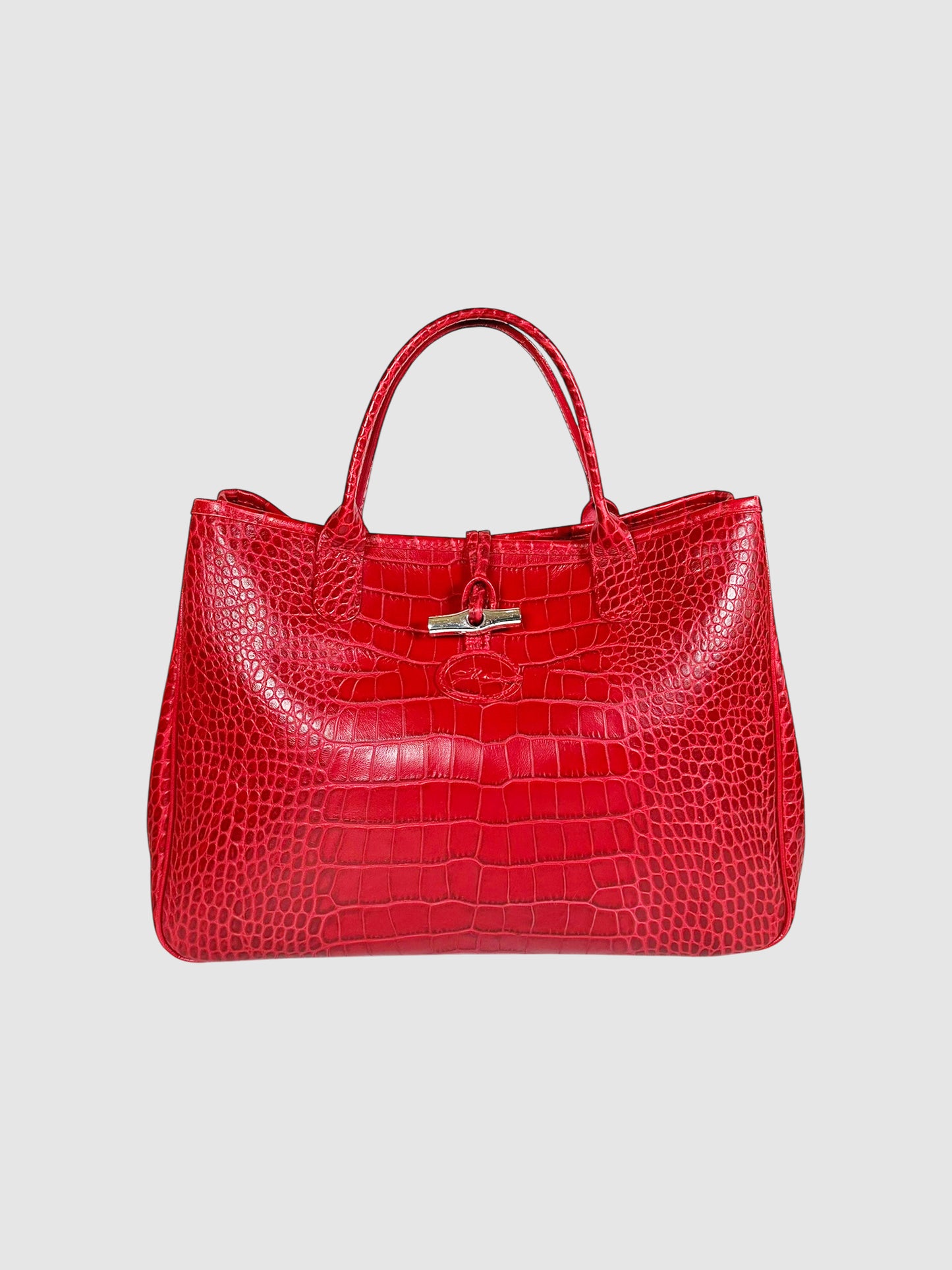 Roseau Handle Bag