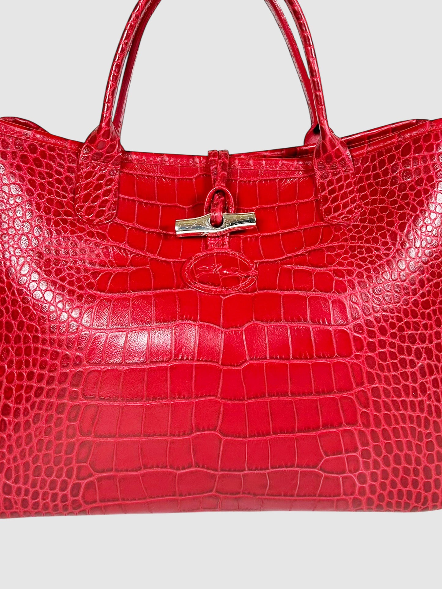 Roseau Handle Bag