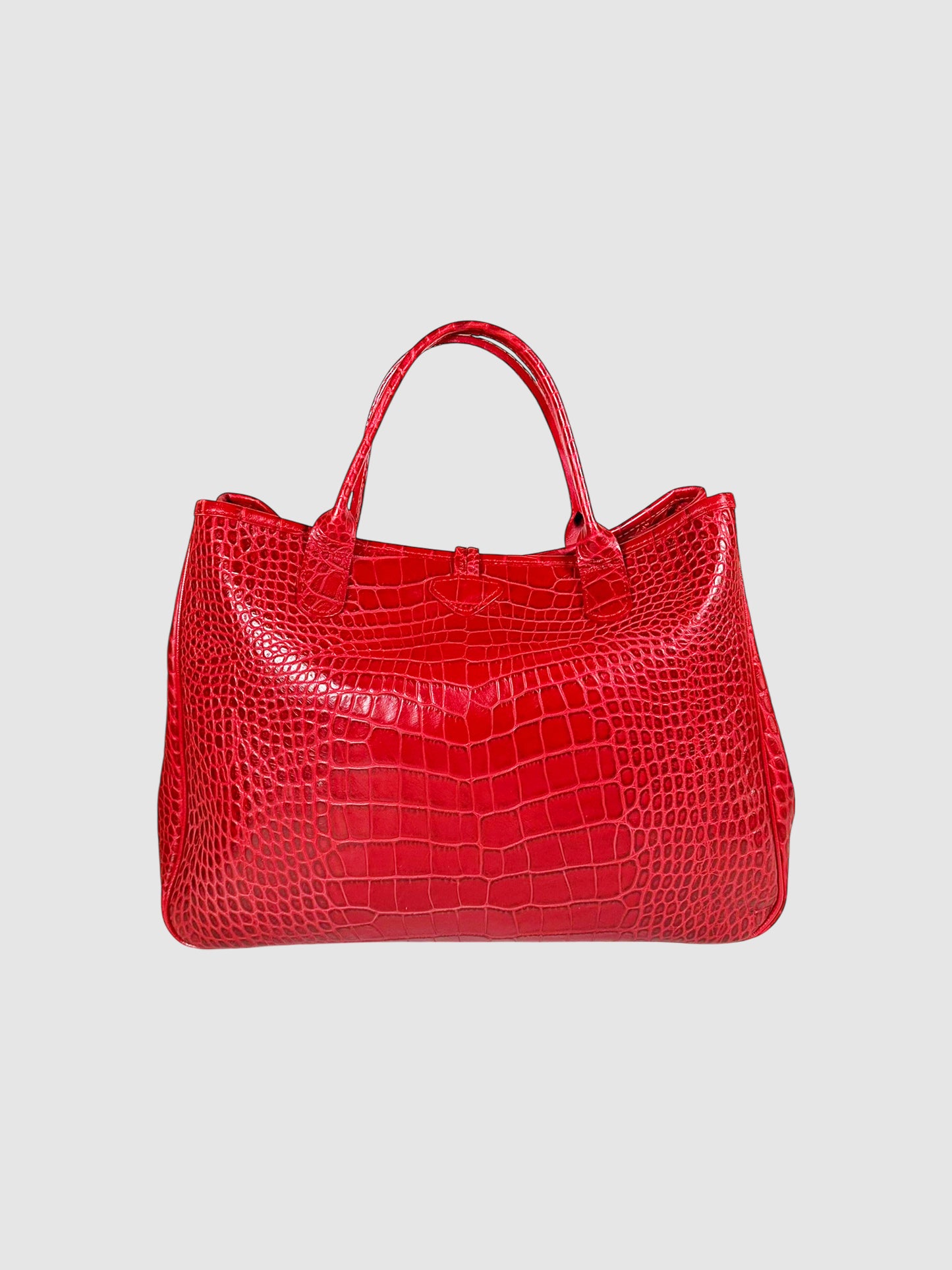 Roseau Handle Bag
