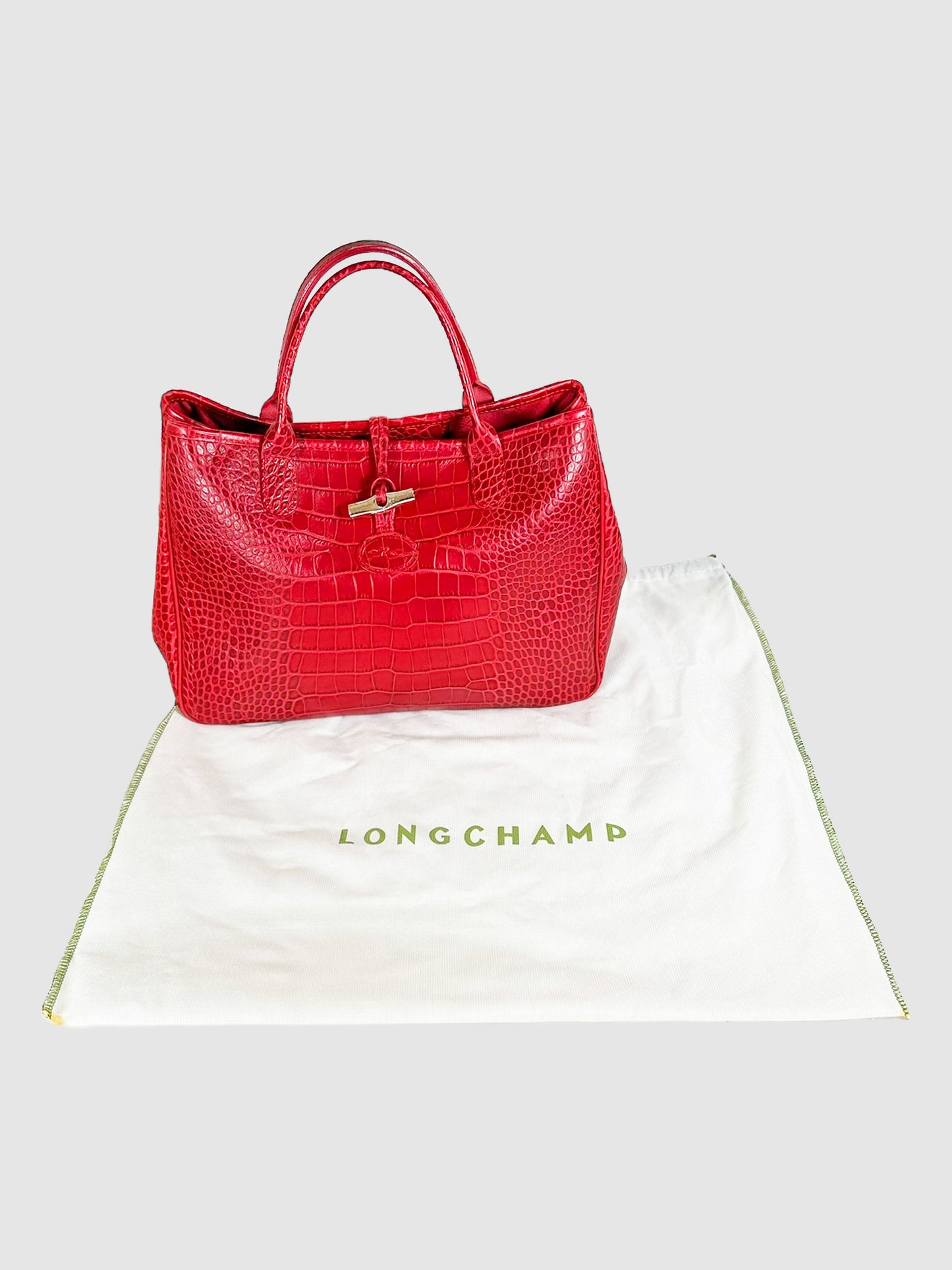 Roseau Handle Bag