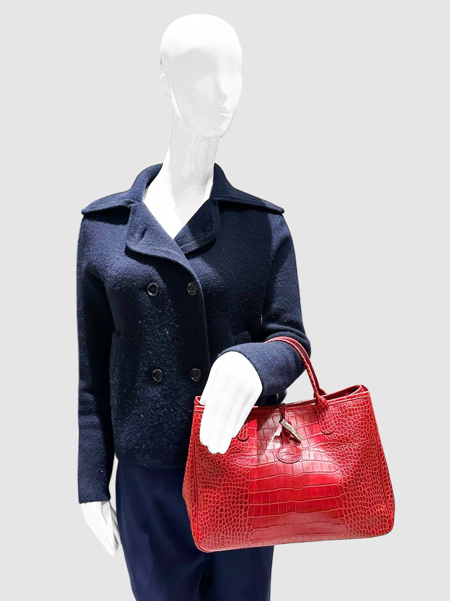 Roseau Handle Bag