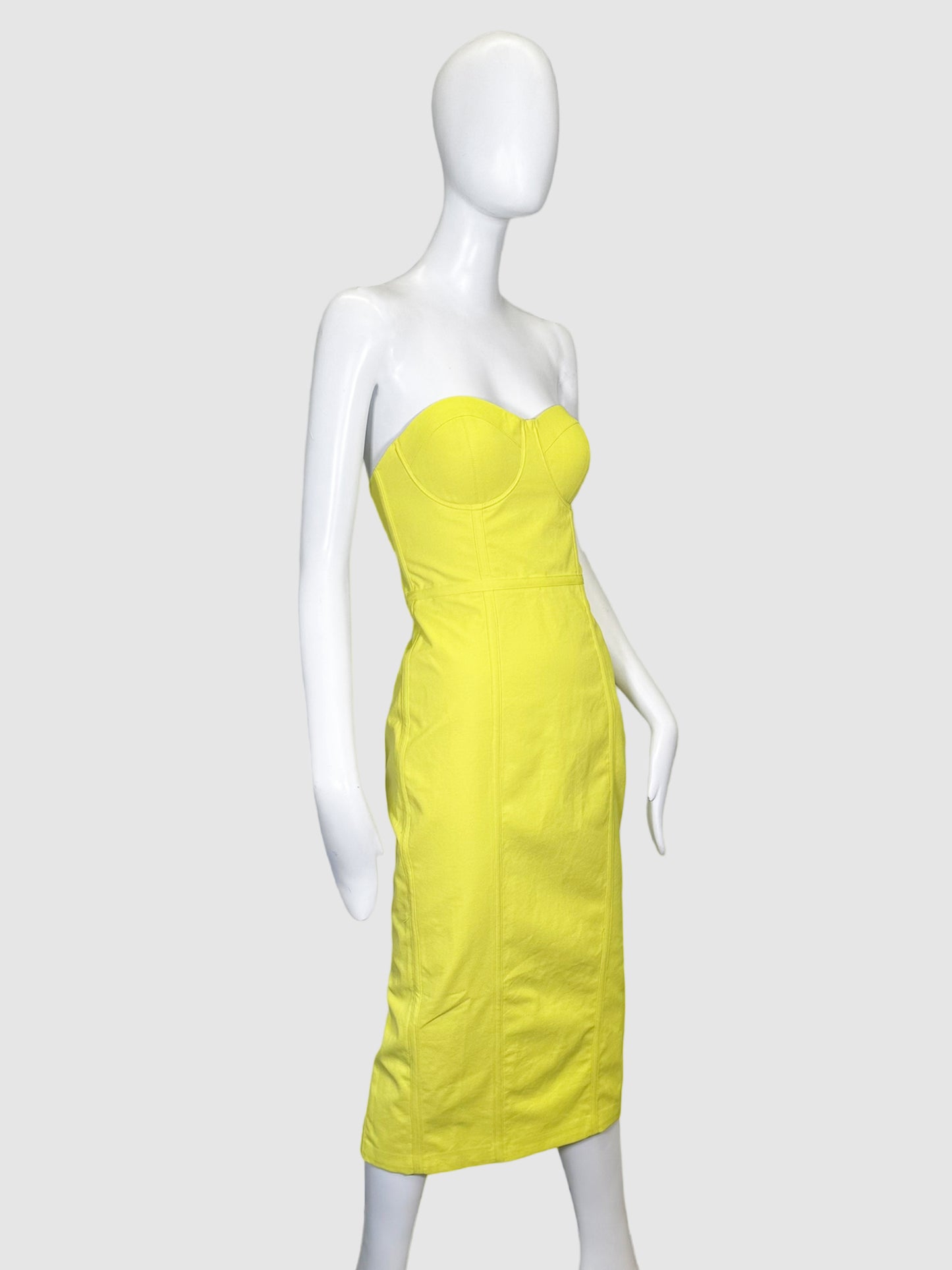 Bustier Bodycon Dress - Size 10