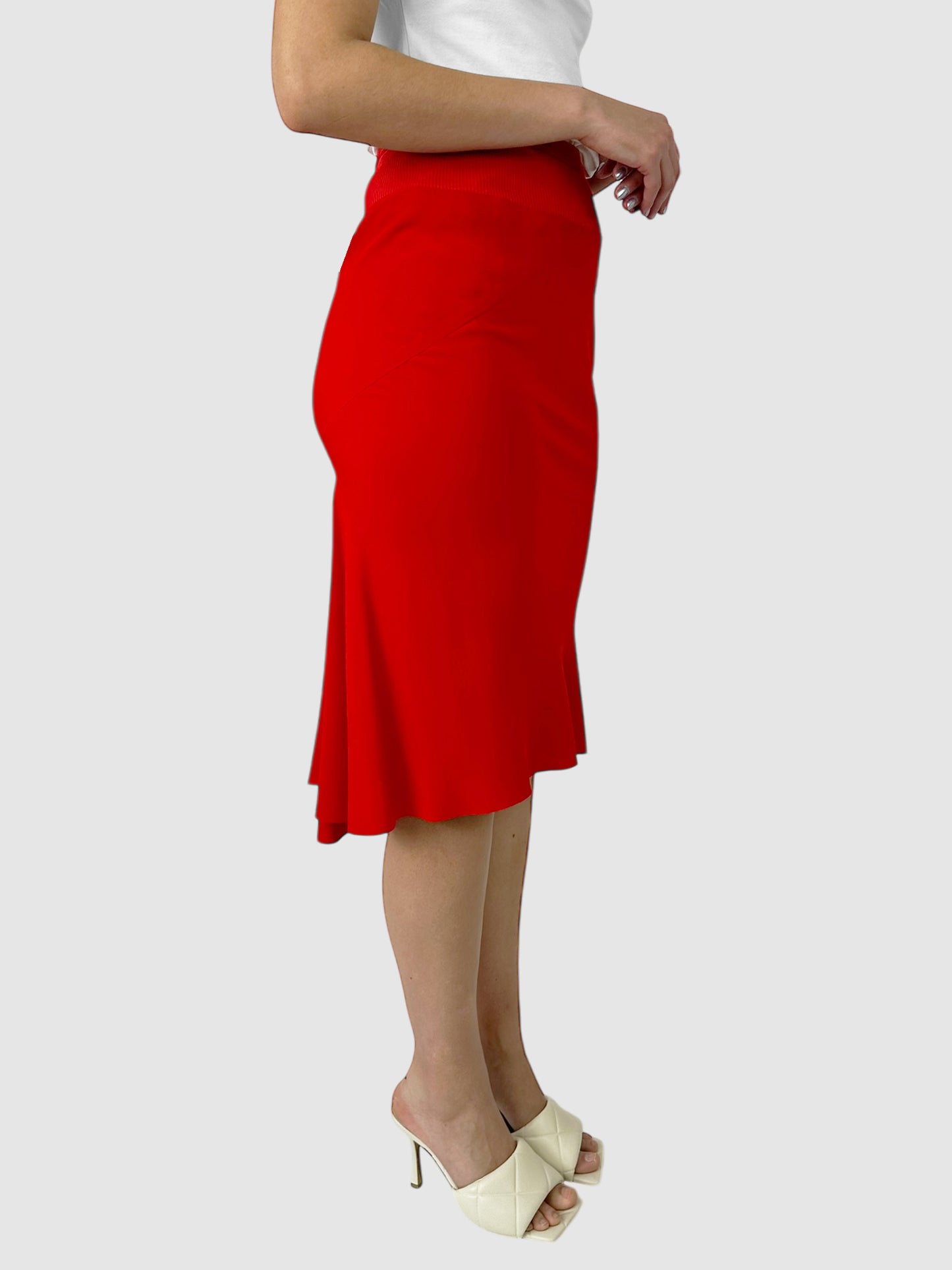 2019 Silk Skirt