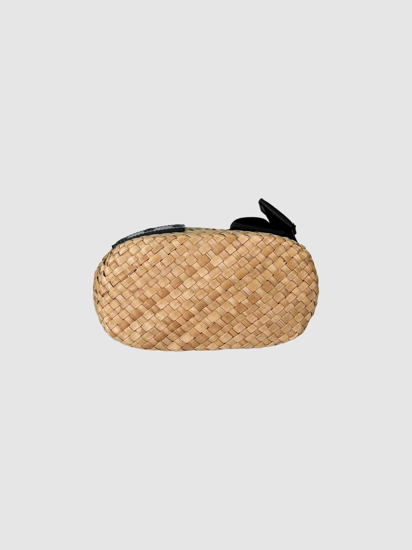 Hybrid Marche Micro Bag