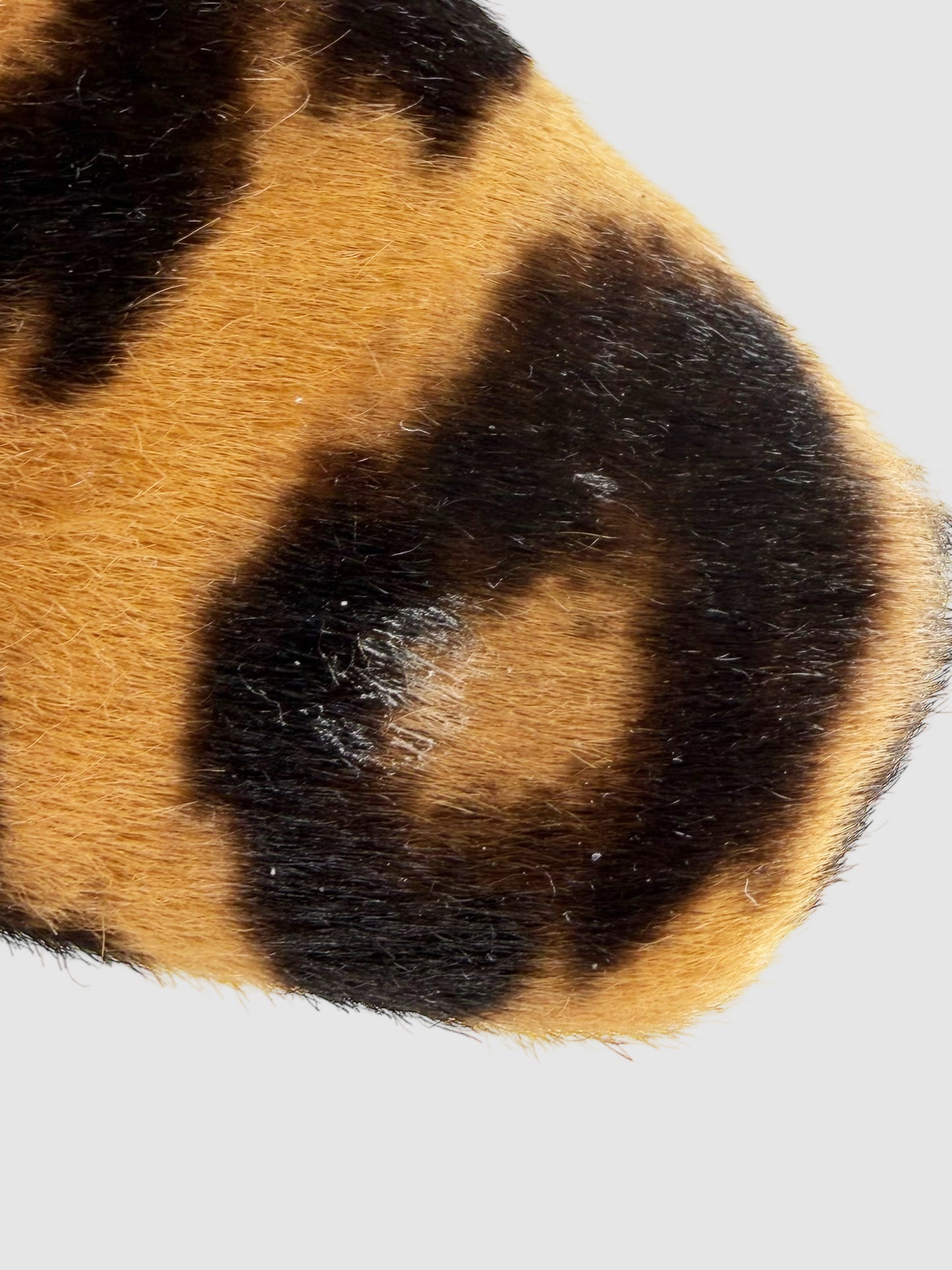 Leopard Siwar Flats
