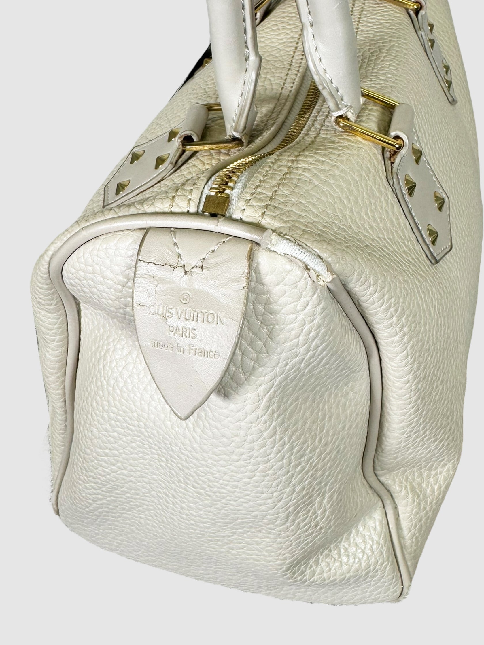 Speedy 25 Grained Leather