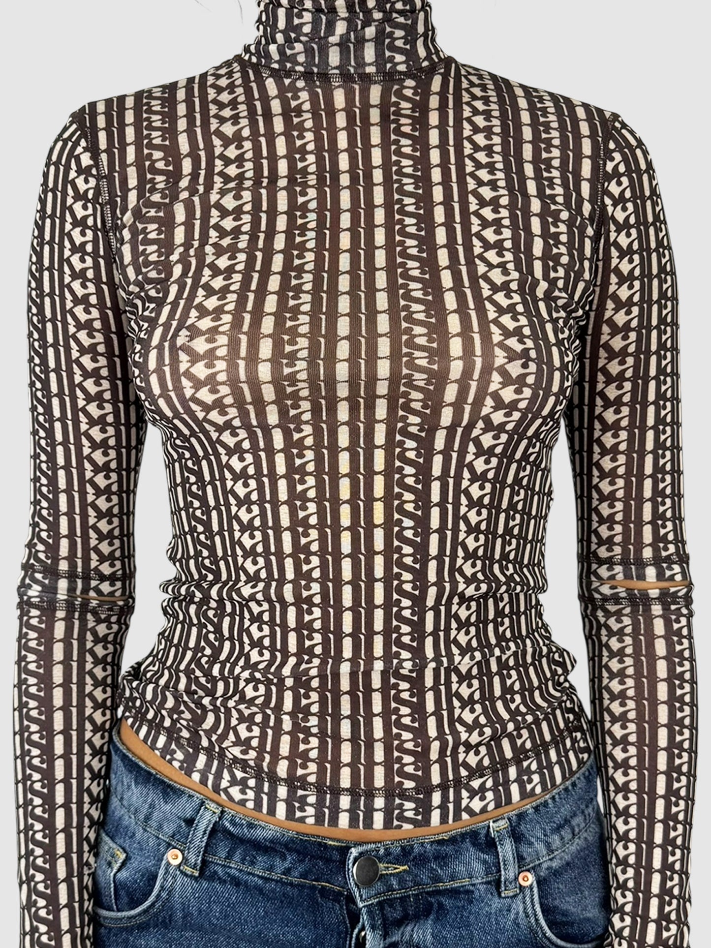 Mesh Turtleneck Top