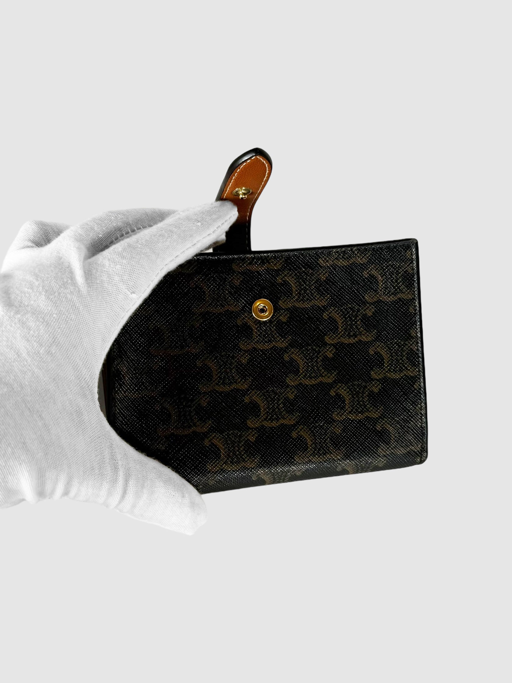Triomphe Small Strap Wallet