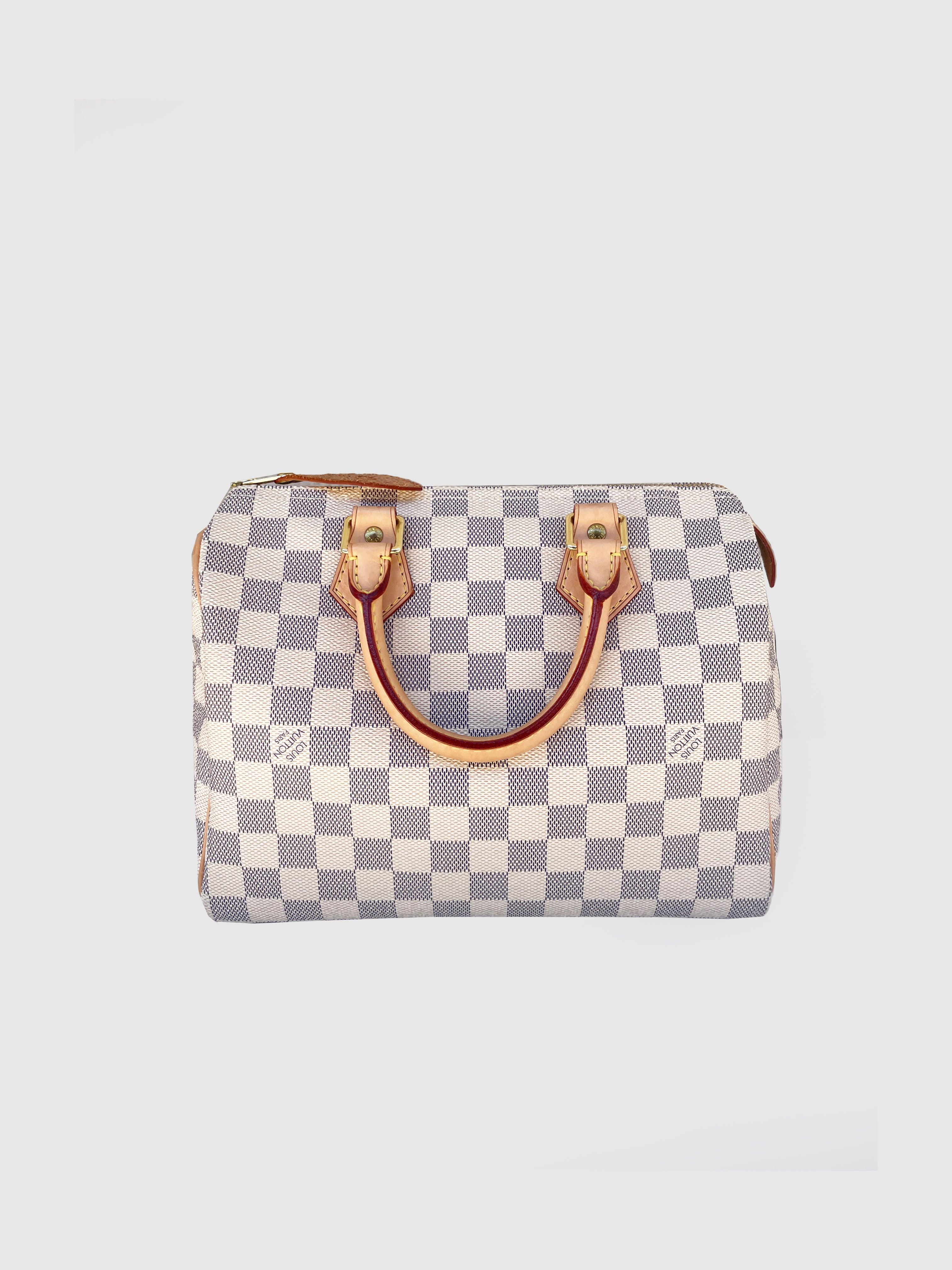 Louis Vuitton "Speedy 25" - Second Nature Boutique