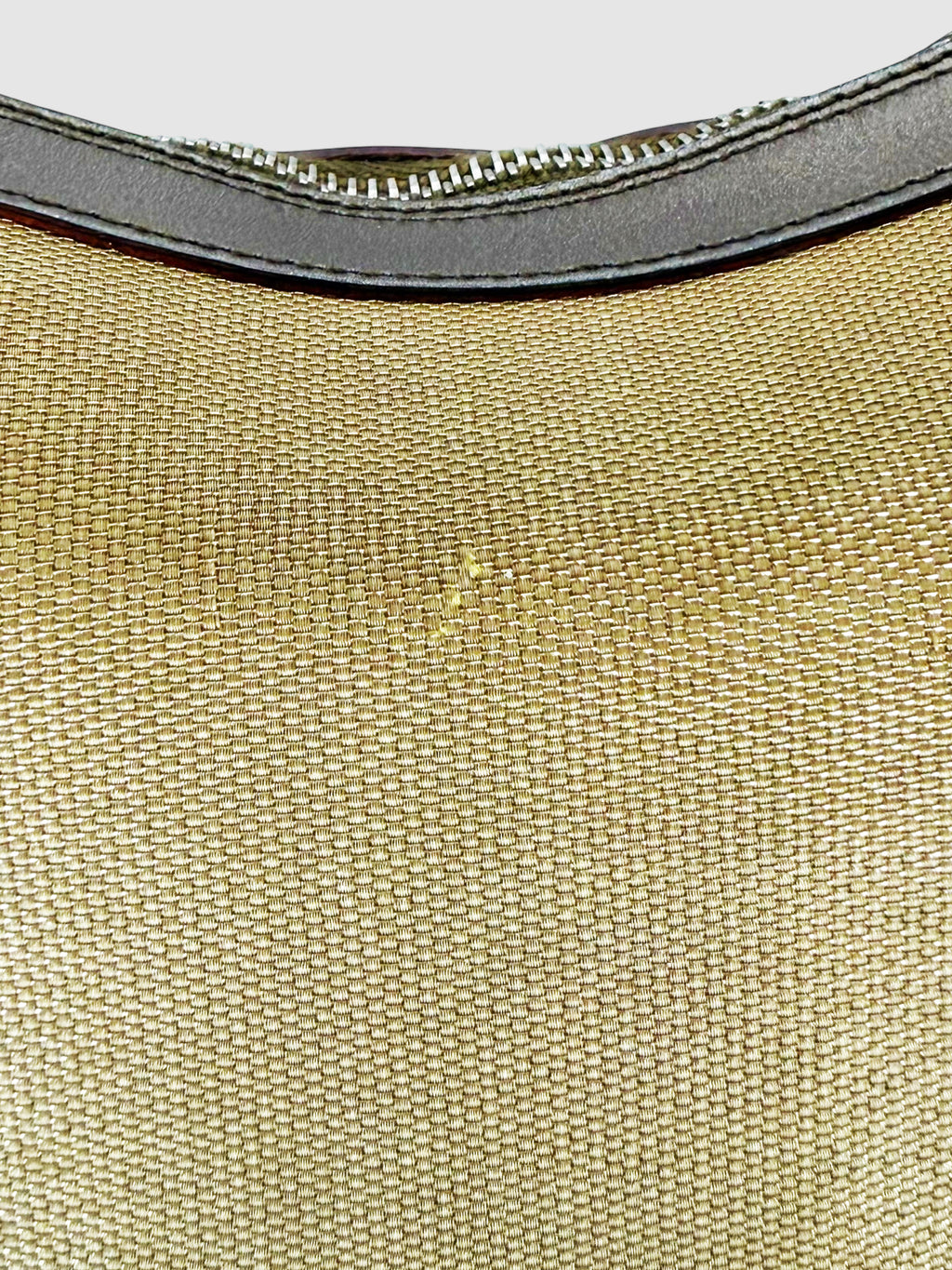 Metallic Shoulder Bag