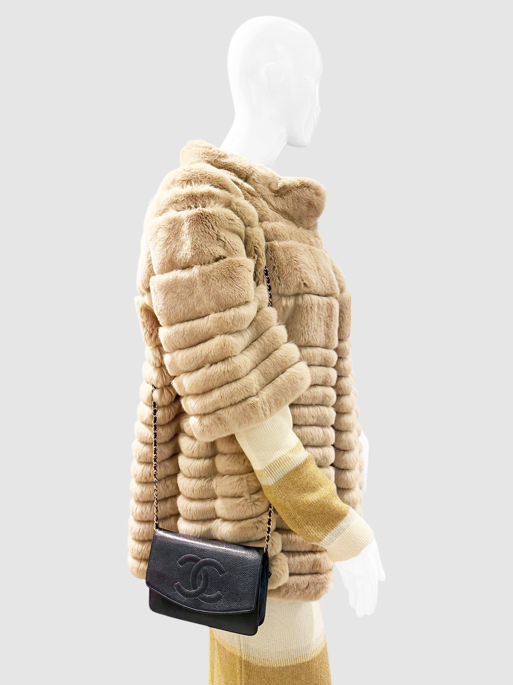 Timeless Wallet on Chain