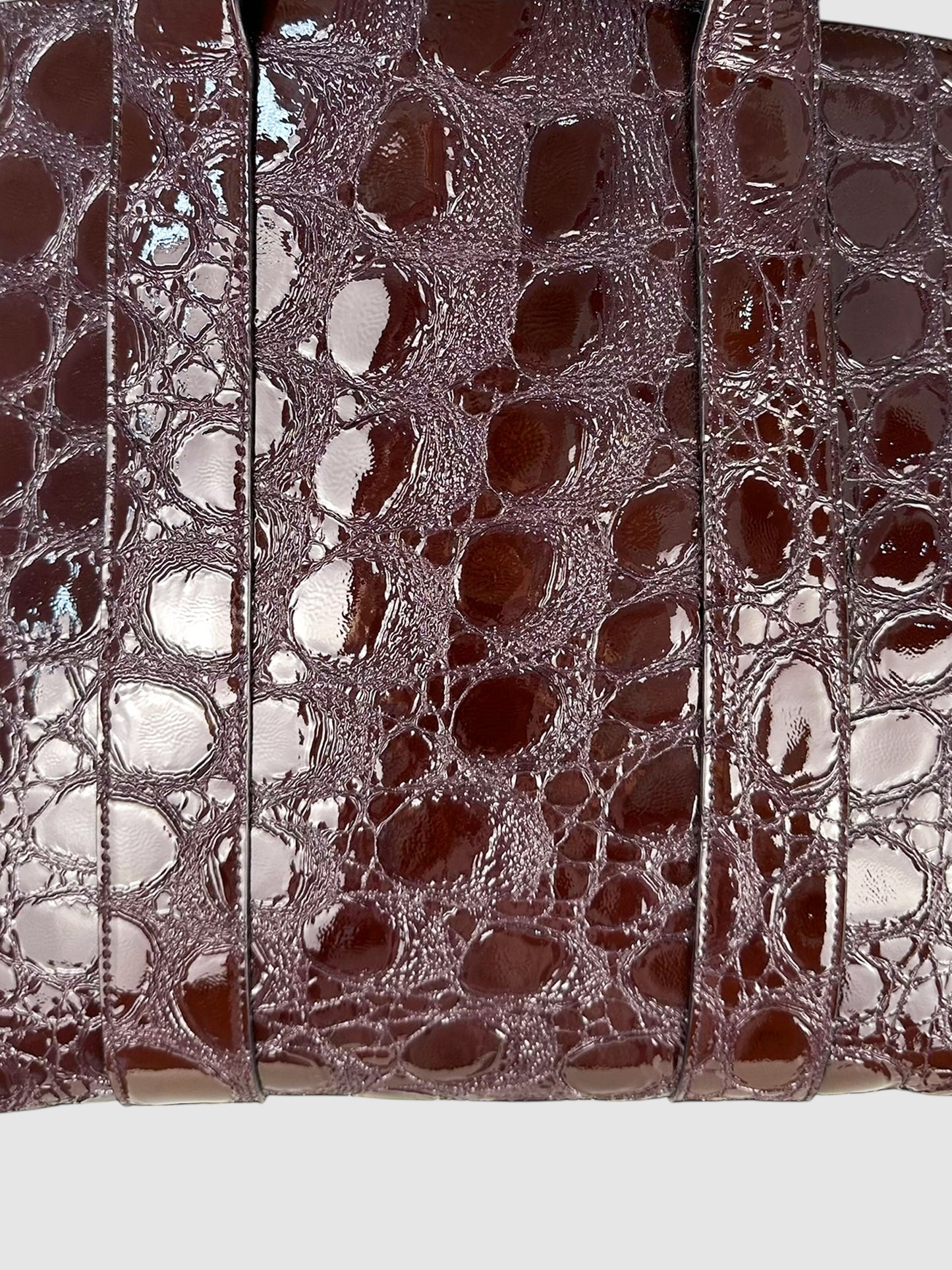 Alligator Embossed Bag