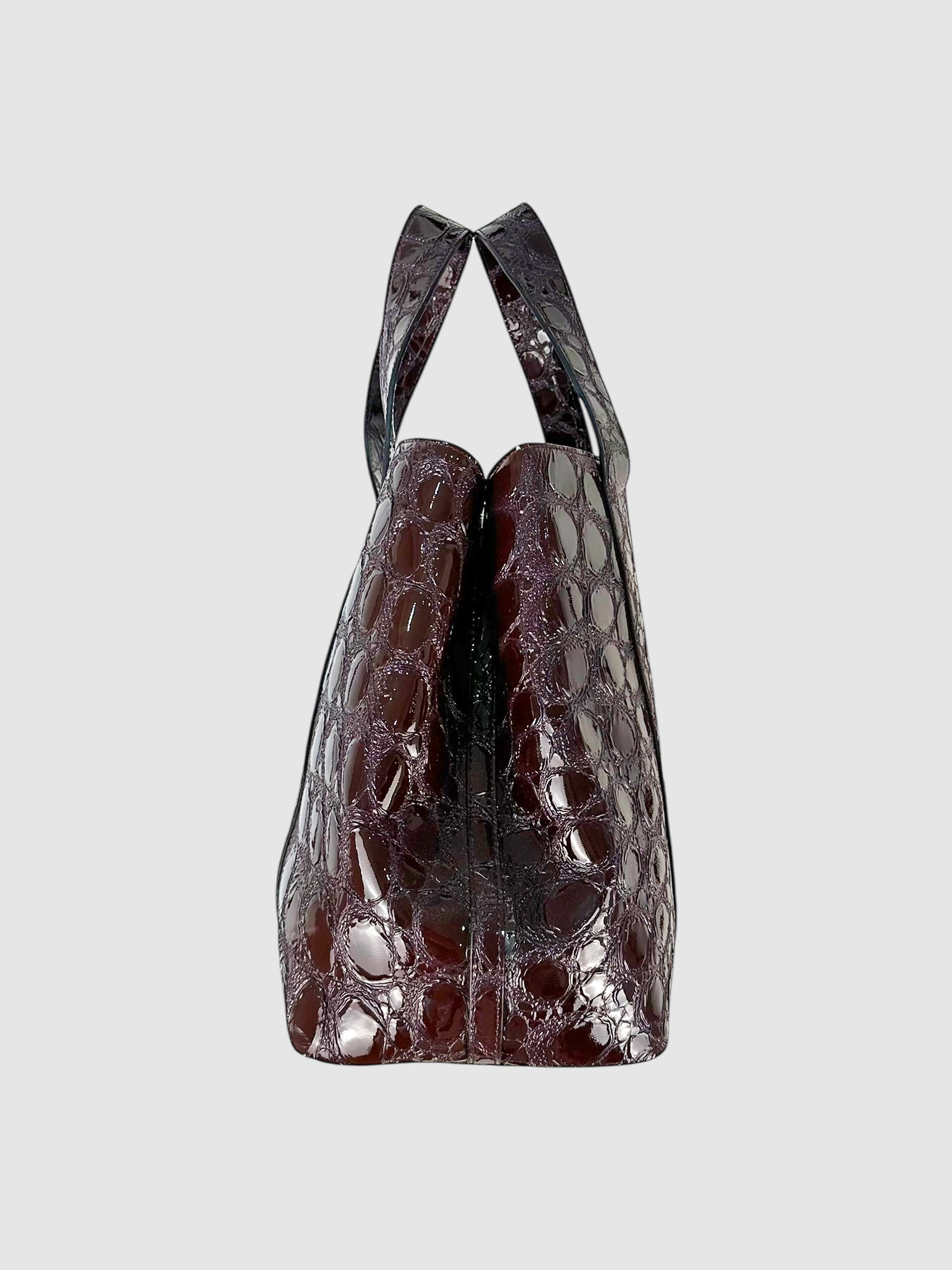 Alligator Embossed Bag