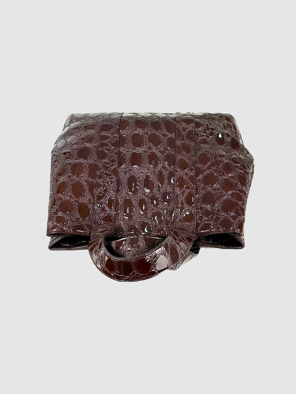 Alligator Embossed Bag