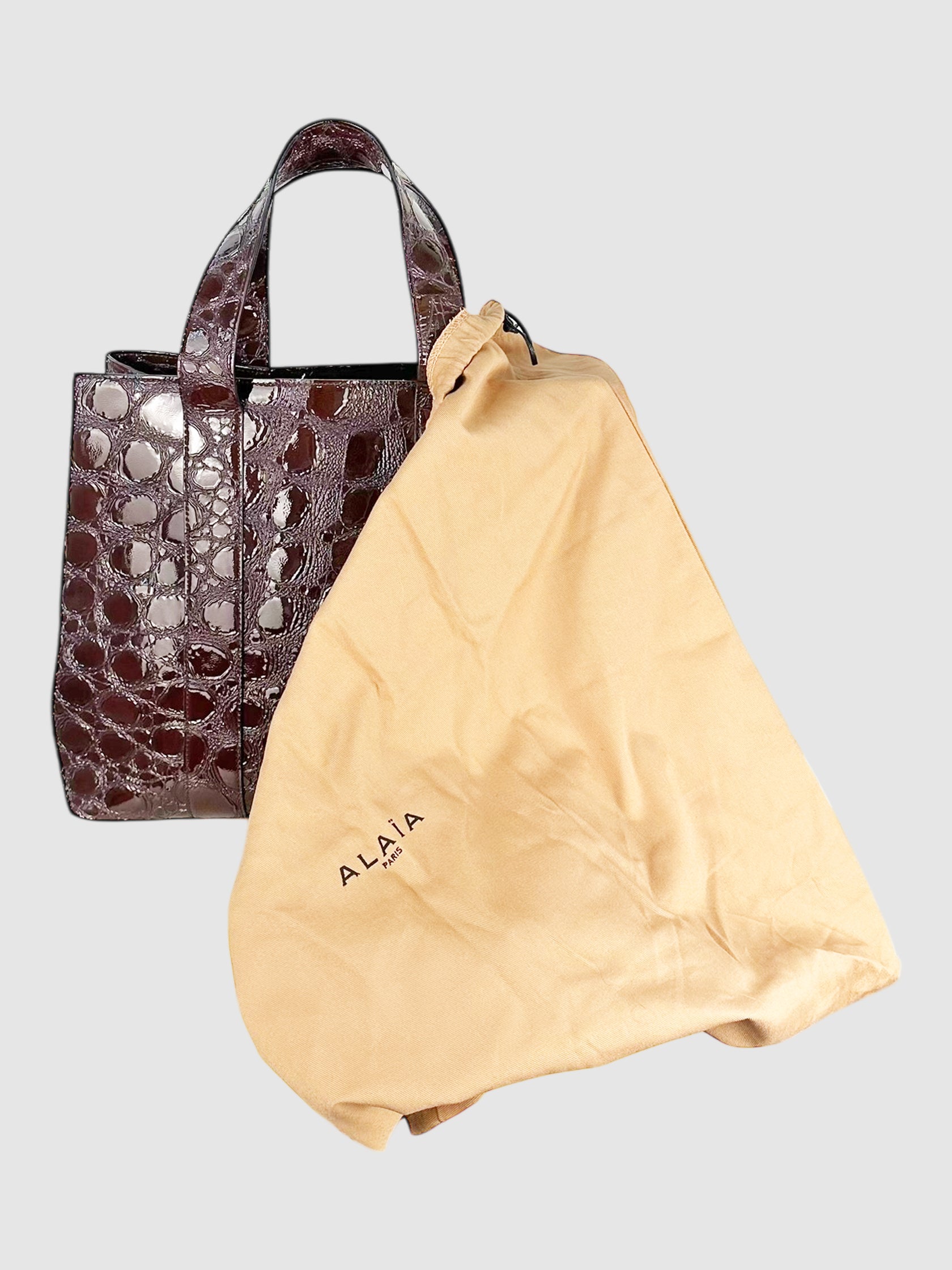 Alligator Embossed Bag