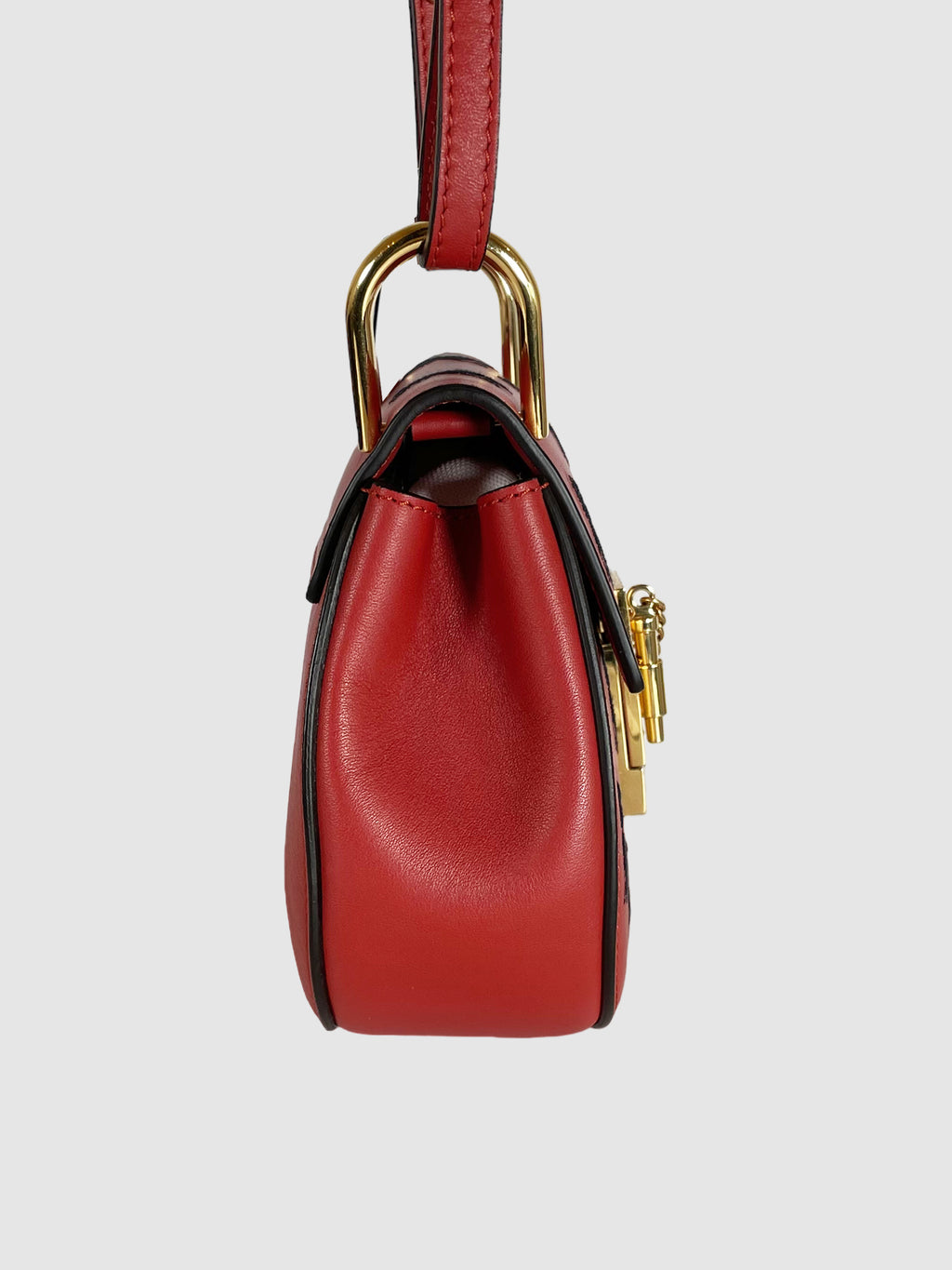 Chloé Embroidered Horses Bijou Bag