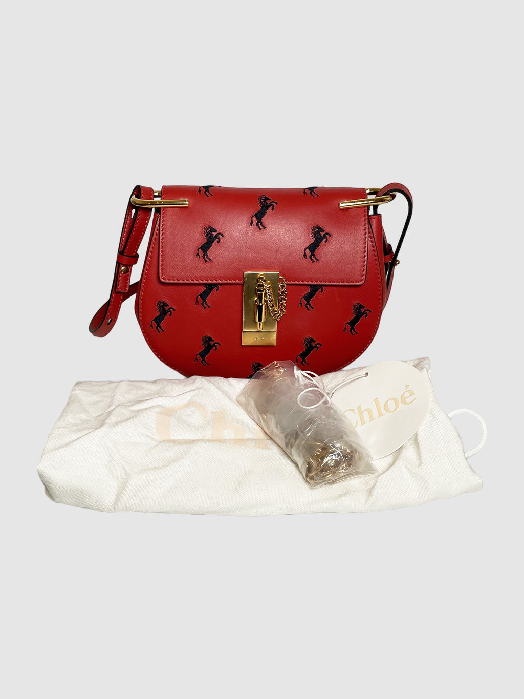 Chloé Embroidered Horses Bijou Bag