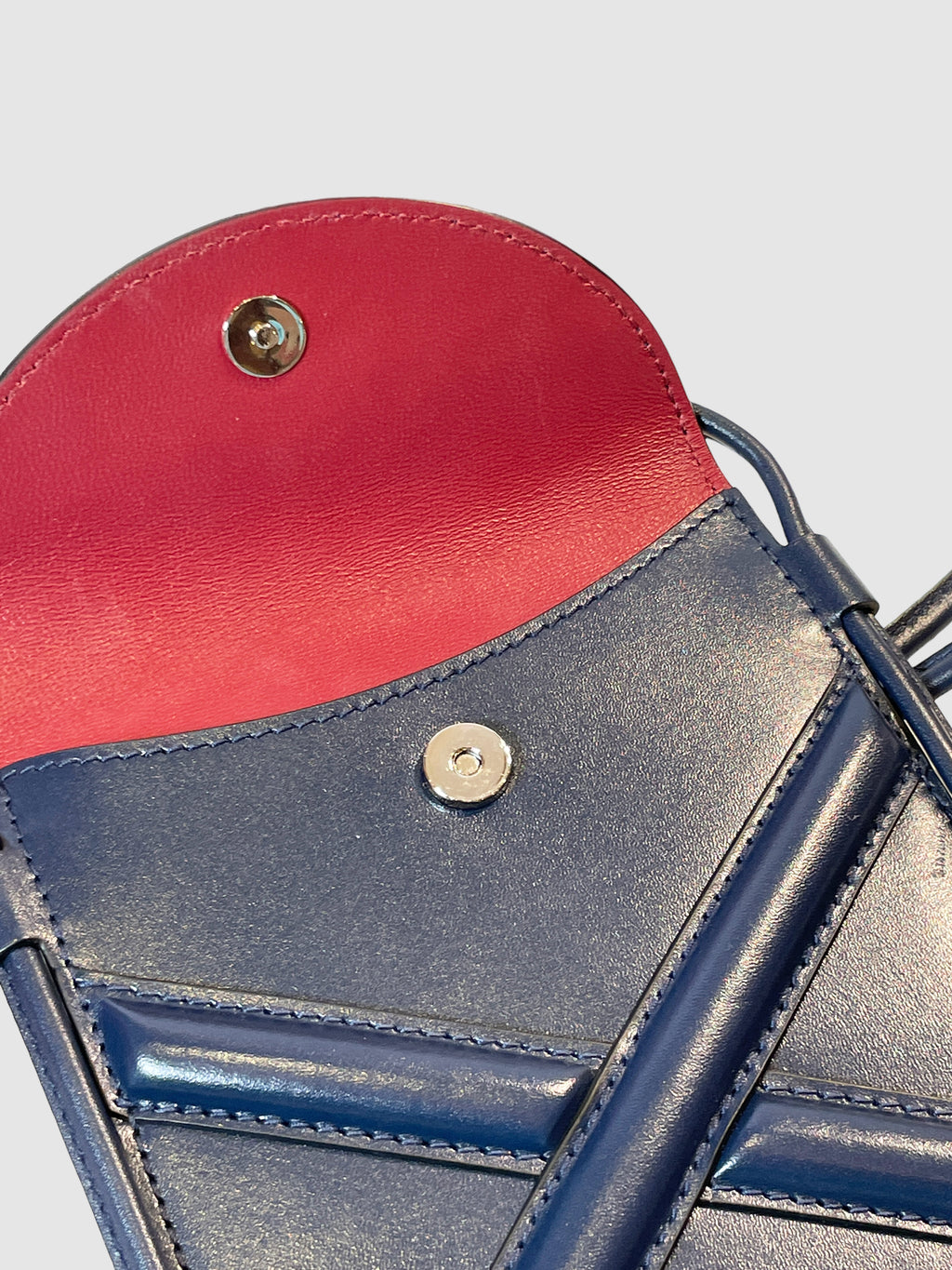 Alexander McQueen The Curve Phone Bag