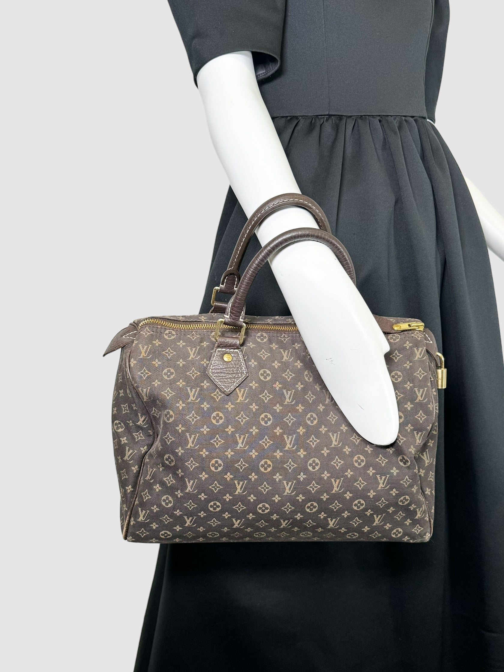 2000 Mini Lin Canvas Speedy 30