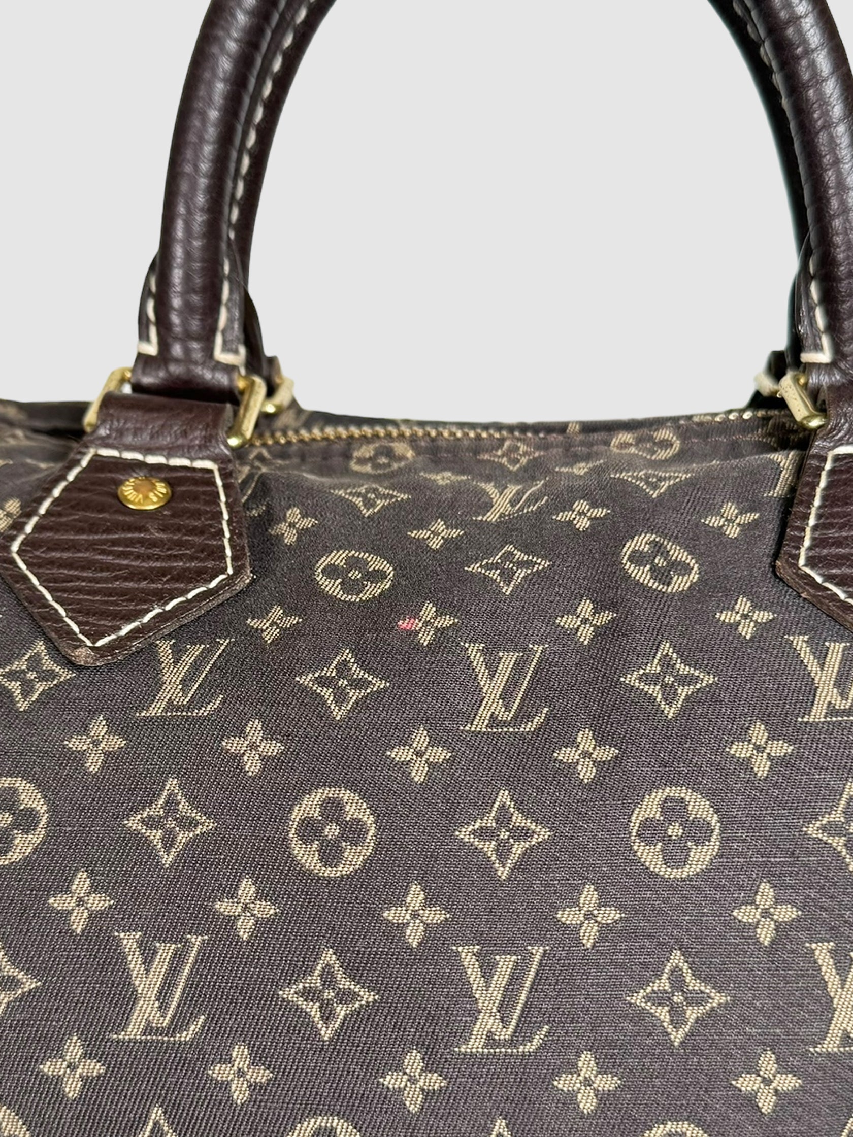 2000 Mini Lin Canvas Speedy 30