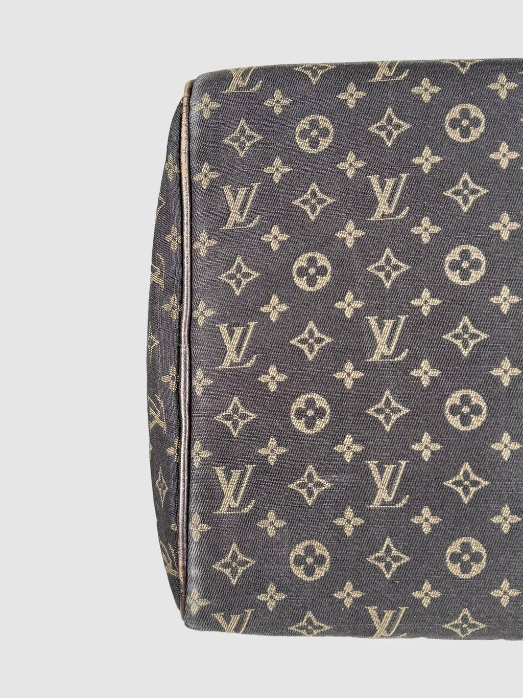 2000 Mini Lin Canvas Speedy 30