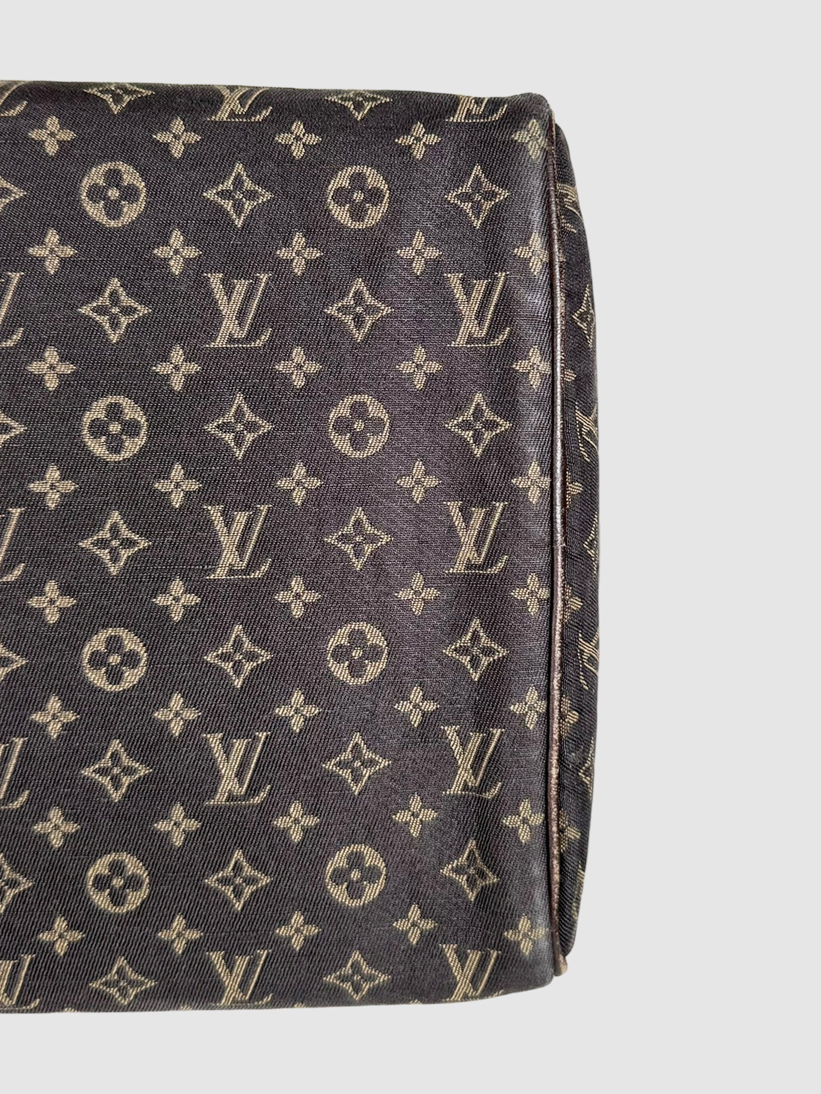 2000 Mini Lin Canvas Speedy 30