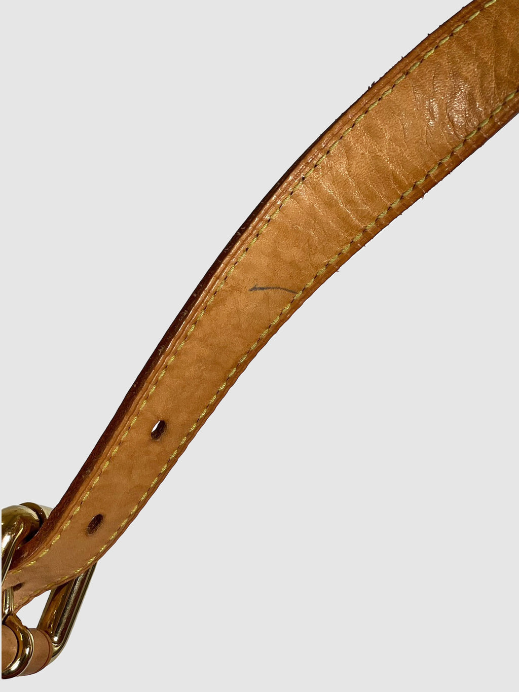 Louis Vuitton Monogram Denim Baggy GM Shoulder Bag