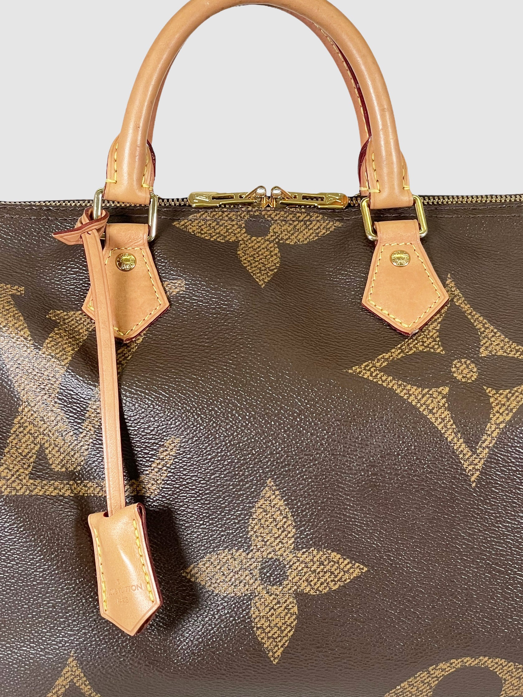 Speedy Bandoulière 25 Giant Monogram