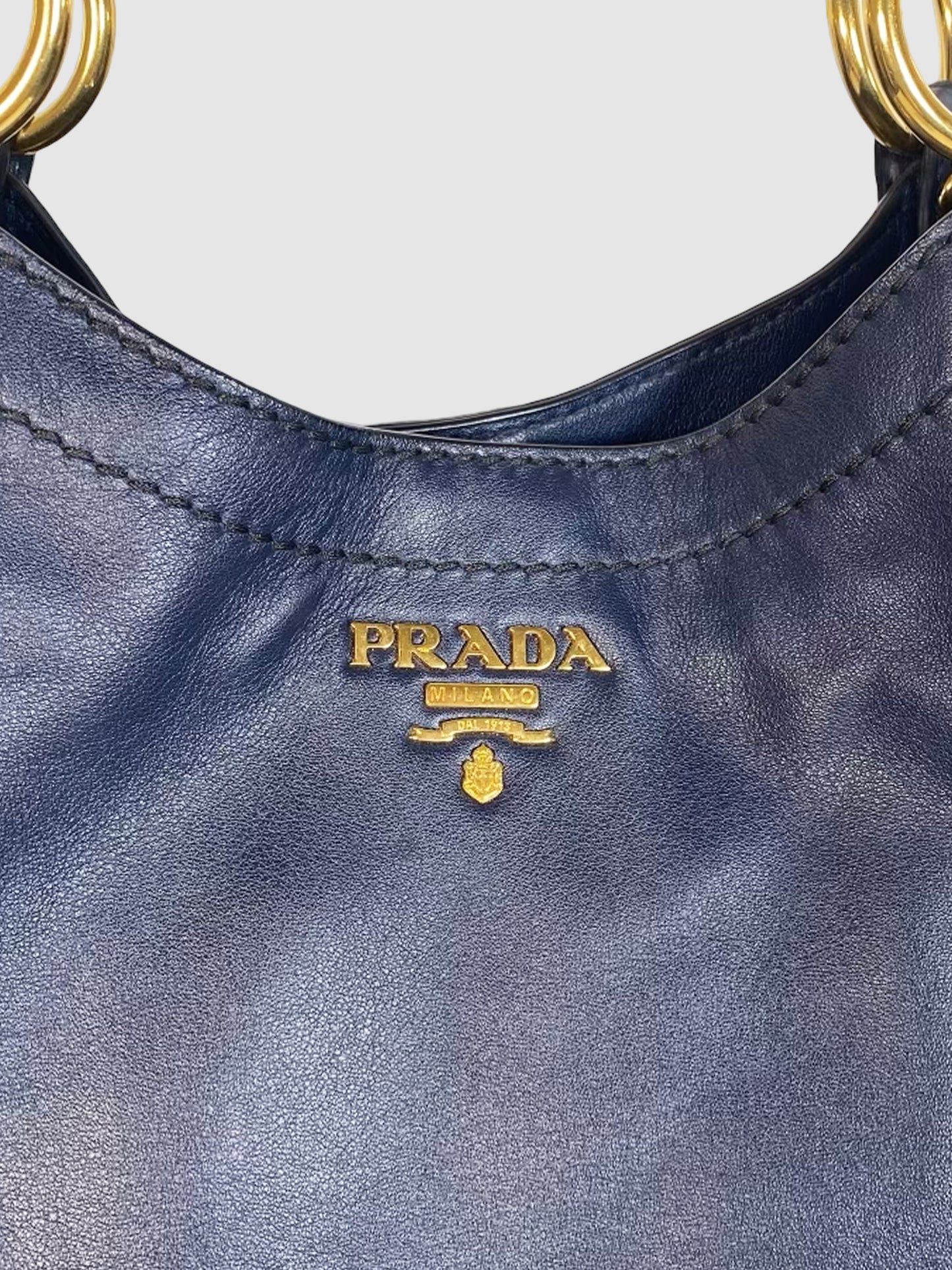 Prada Vitello Daino Bucket Hobo Bag