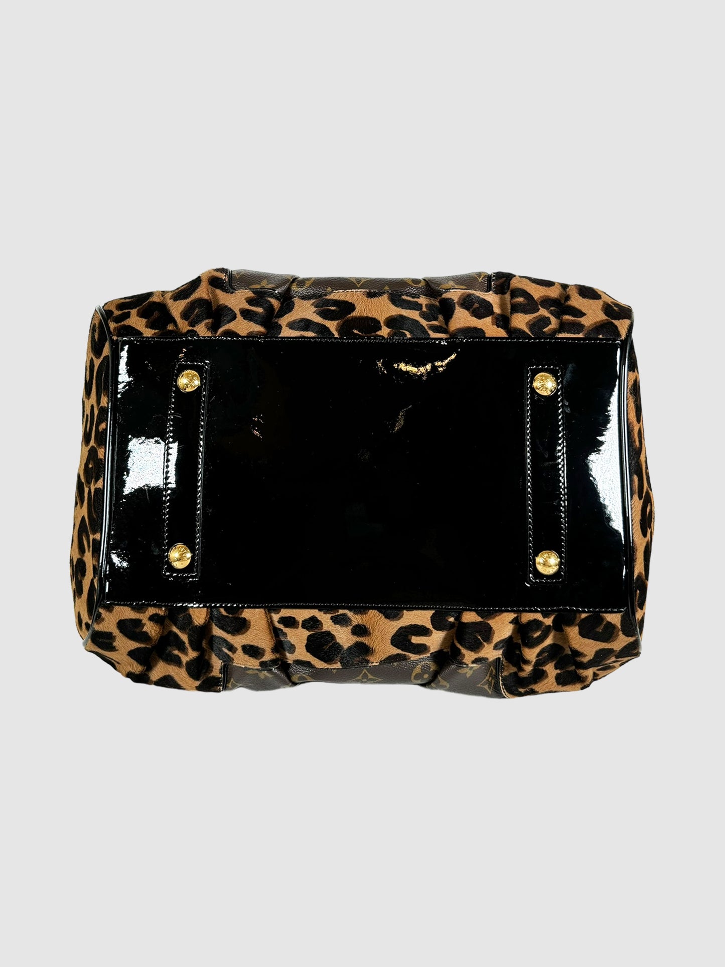 2006 Monogram Leopard Stephen Bag