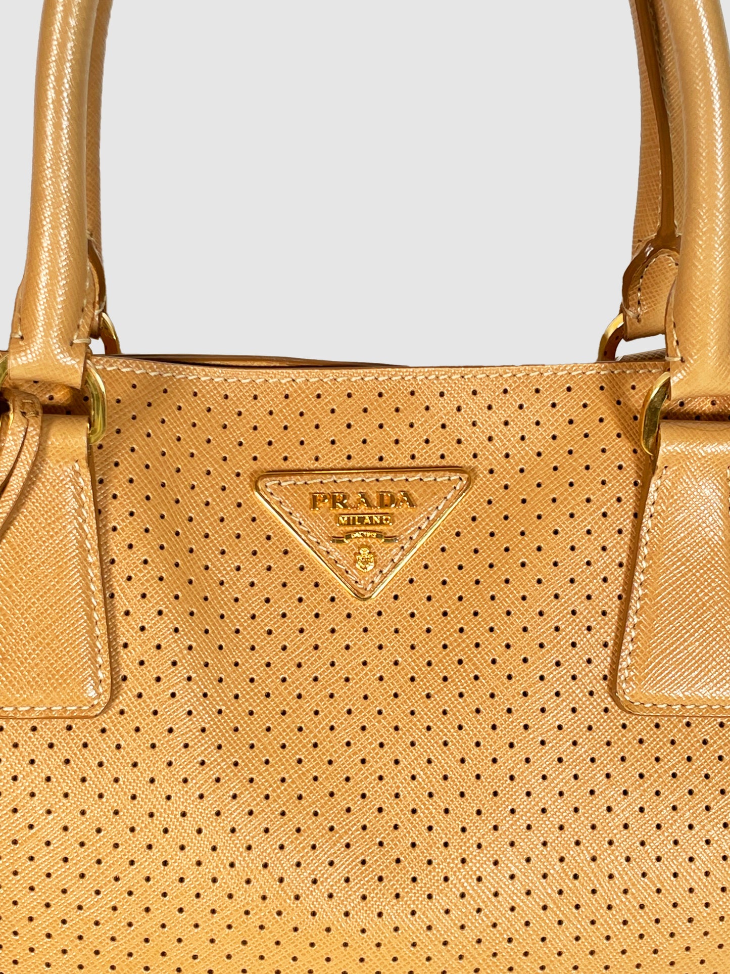 Large Perforated Saffiano Leather Gardener's Tote