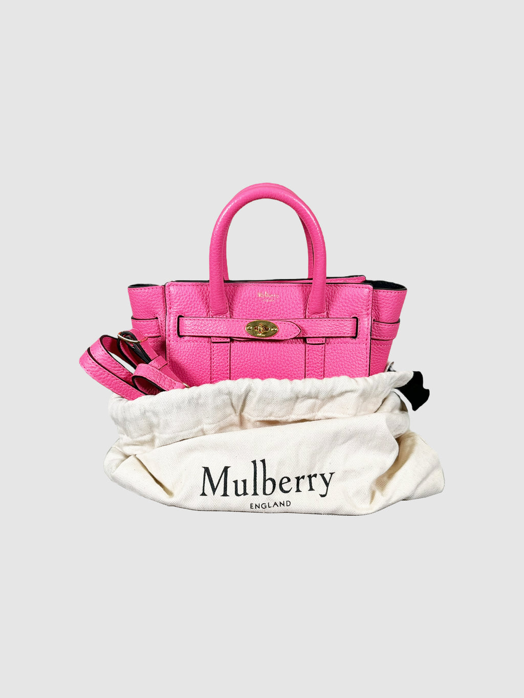 Mini Zipped Bayswater Tote