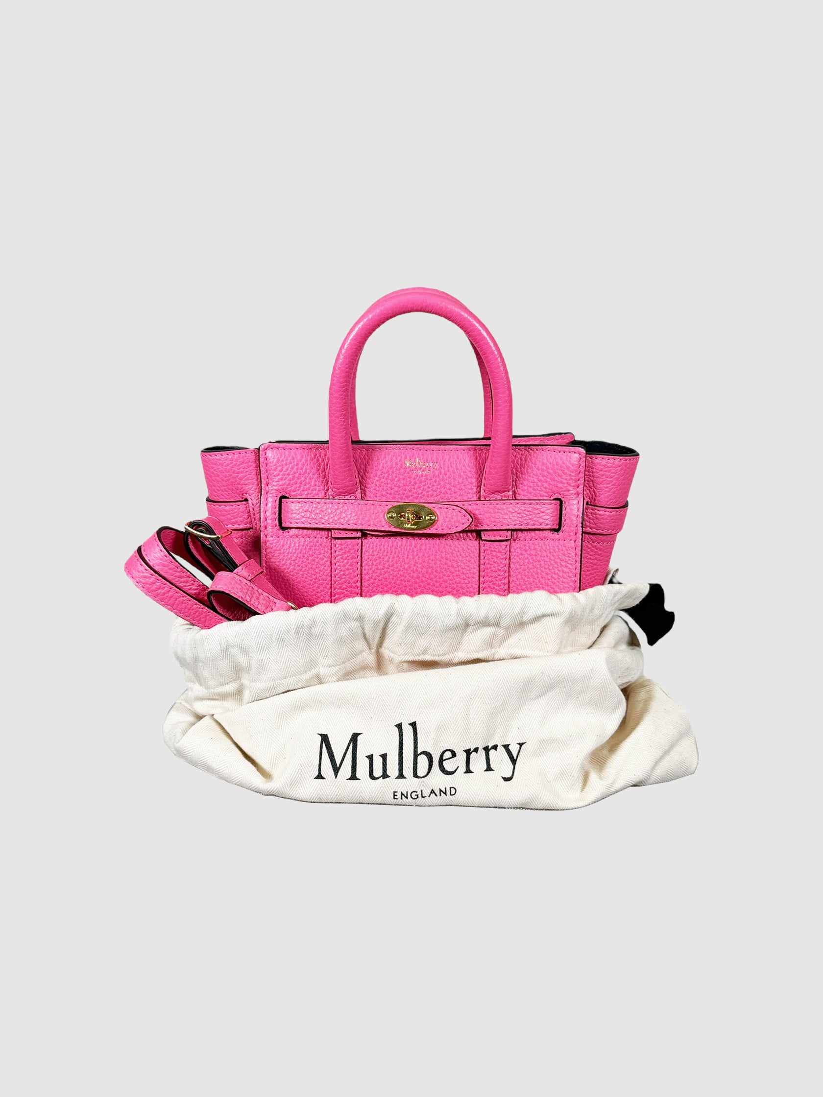 Mini Zipped Bayswater Tote