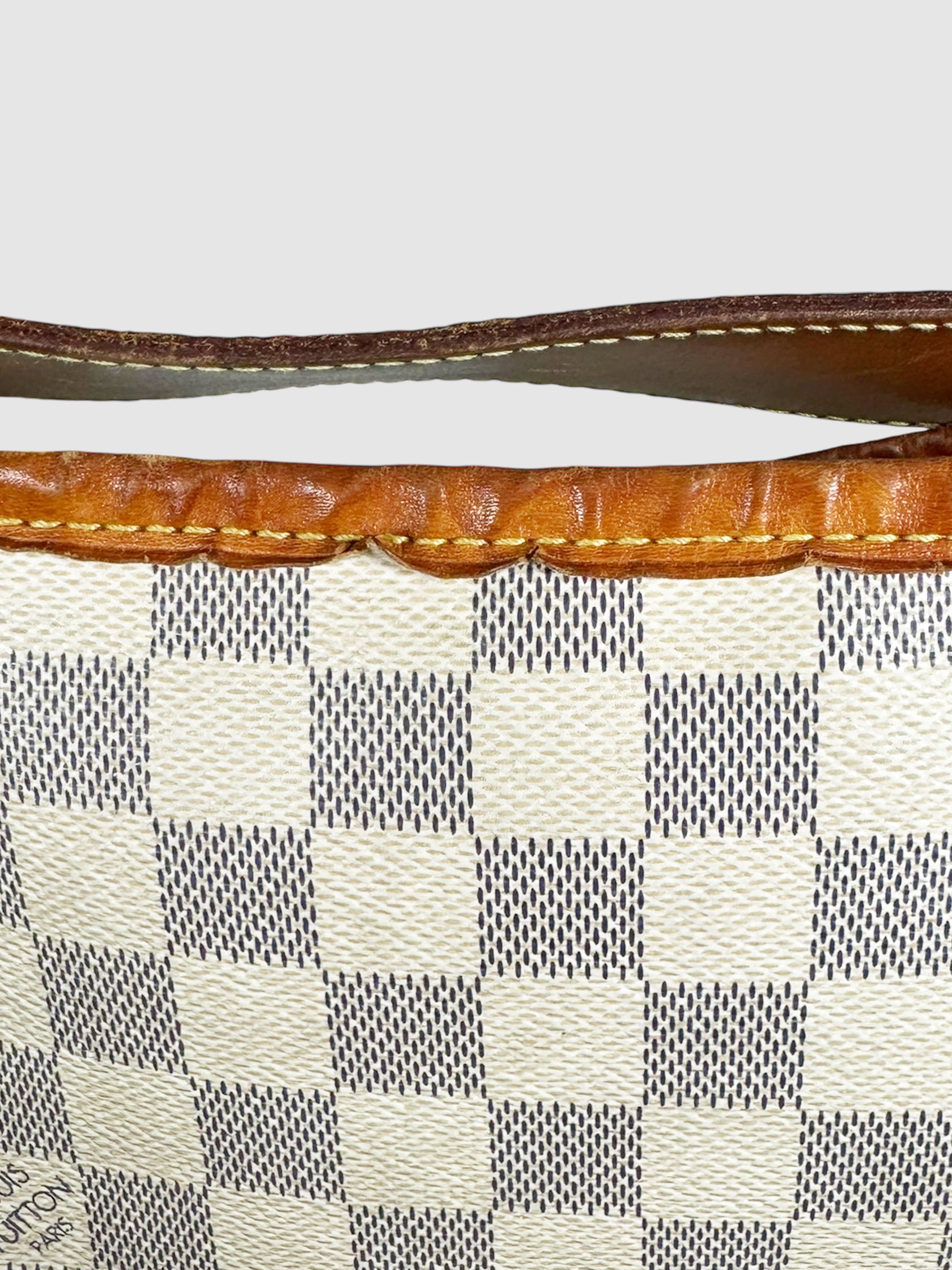 Damier Azur Delightful Bag