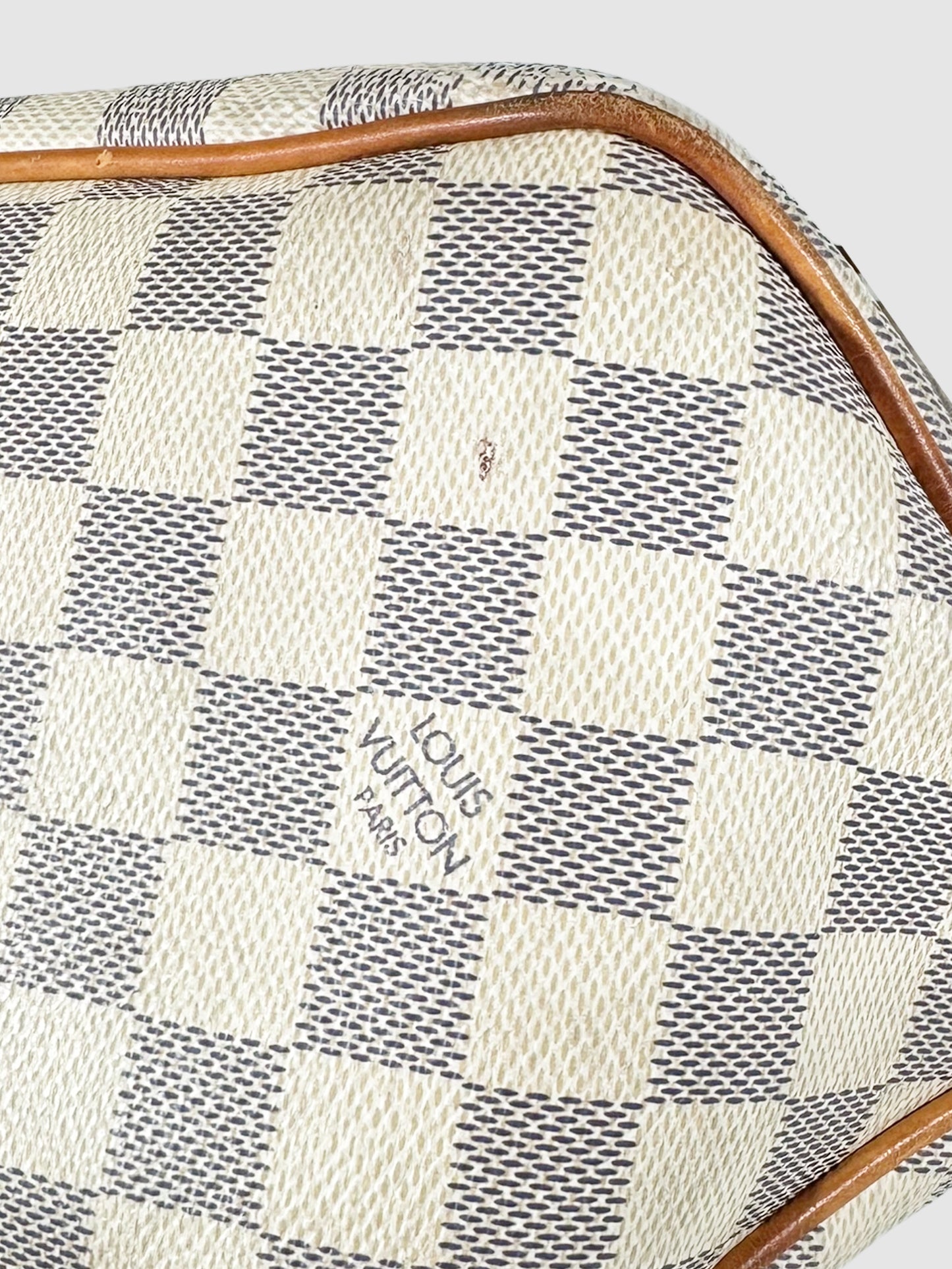 Damier Azur Delightful Bag